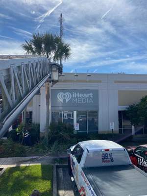 Tree & Palm Trimming | Commercial Property