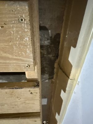 Project in Williamsburg