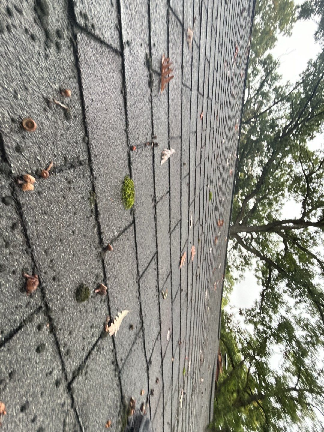 Roof Replacement using CertainTeed Landmark by 180 Contractors