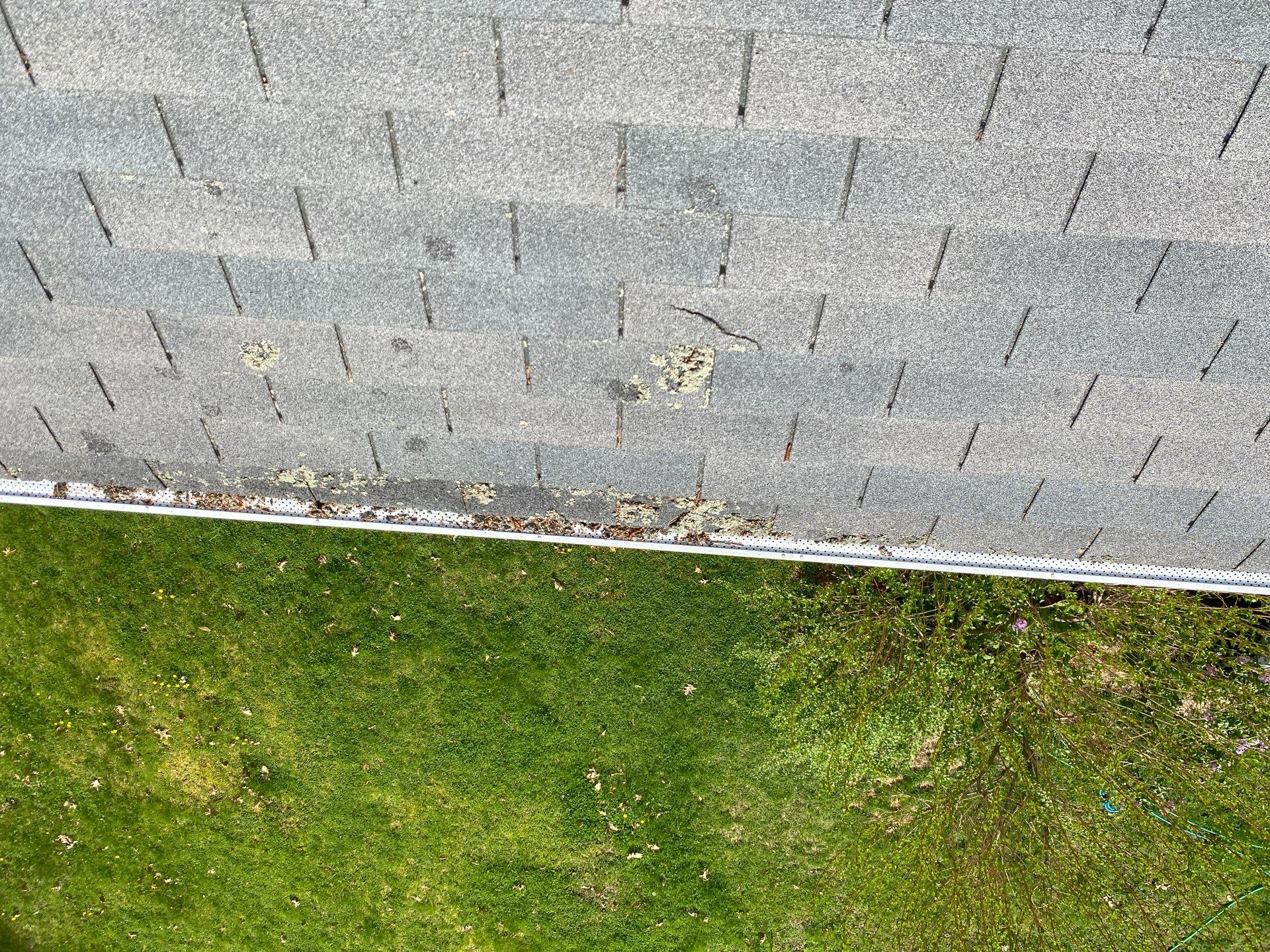 Roofing | Carlisle by Mighty Dog Roofing of Greater Middlesex County
