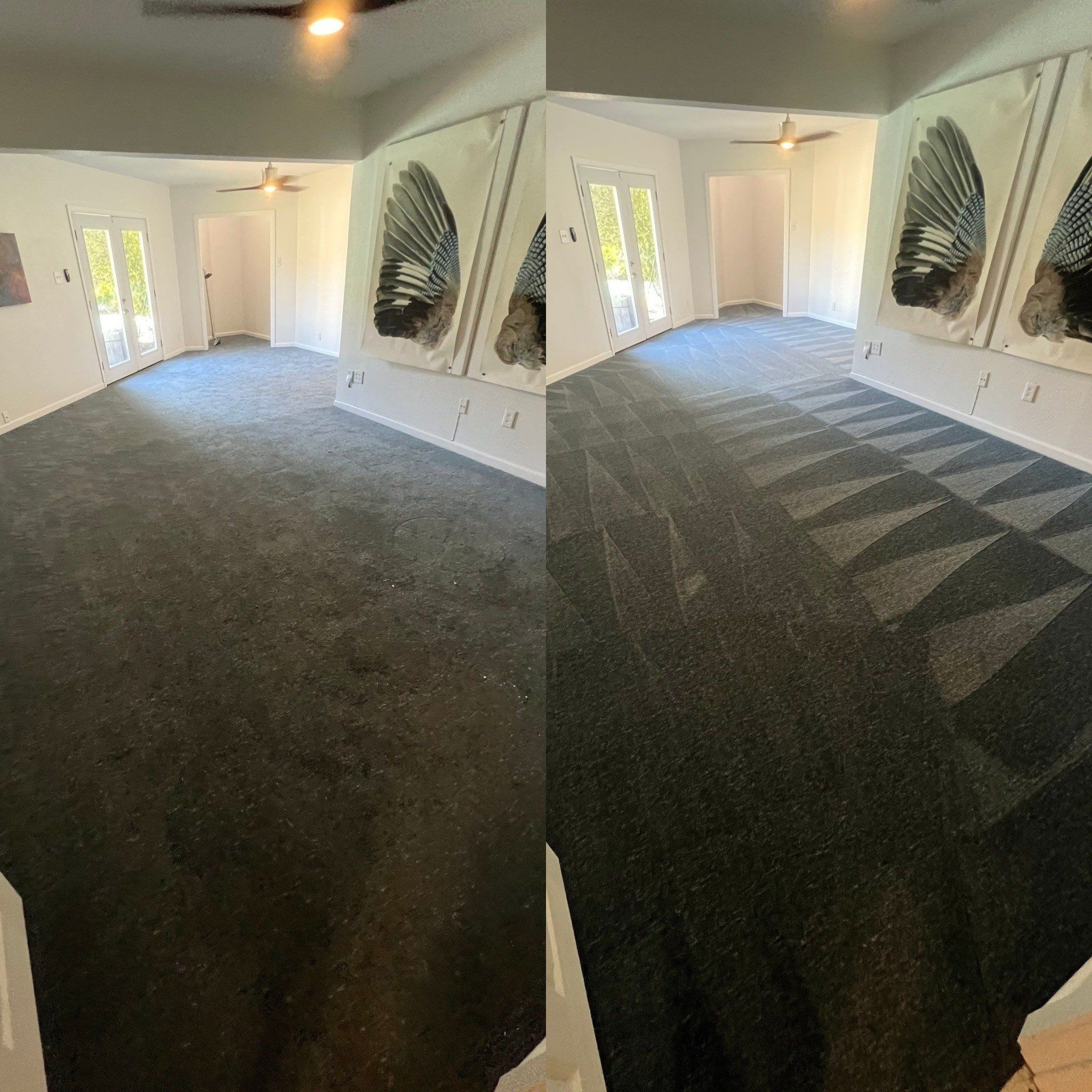 the service being done is professional carpet cleaning transforming the surface from dirty to clean and refreshed