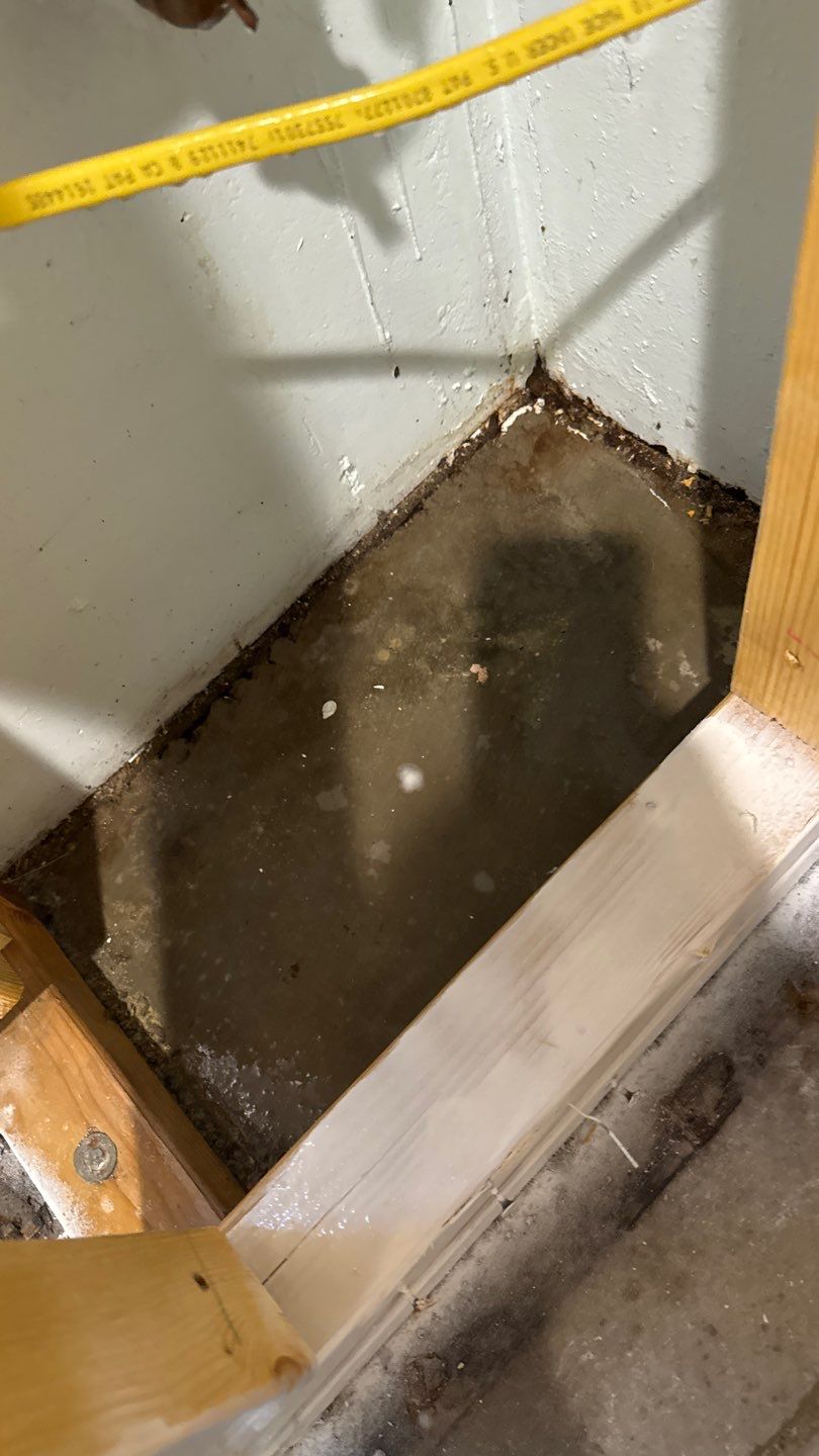 Mold Project in Thornton by Accountable Home Services