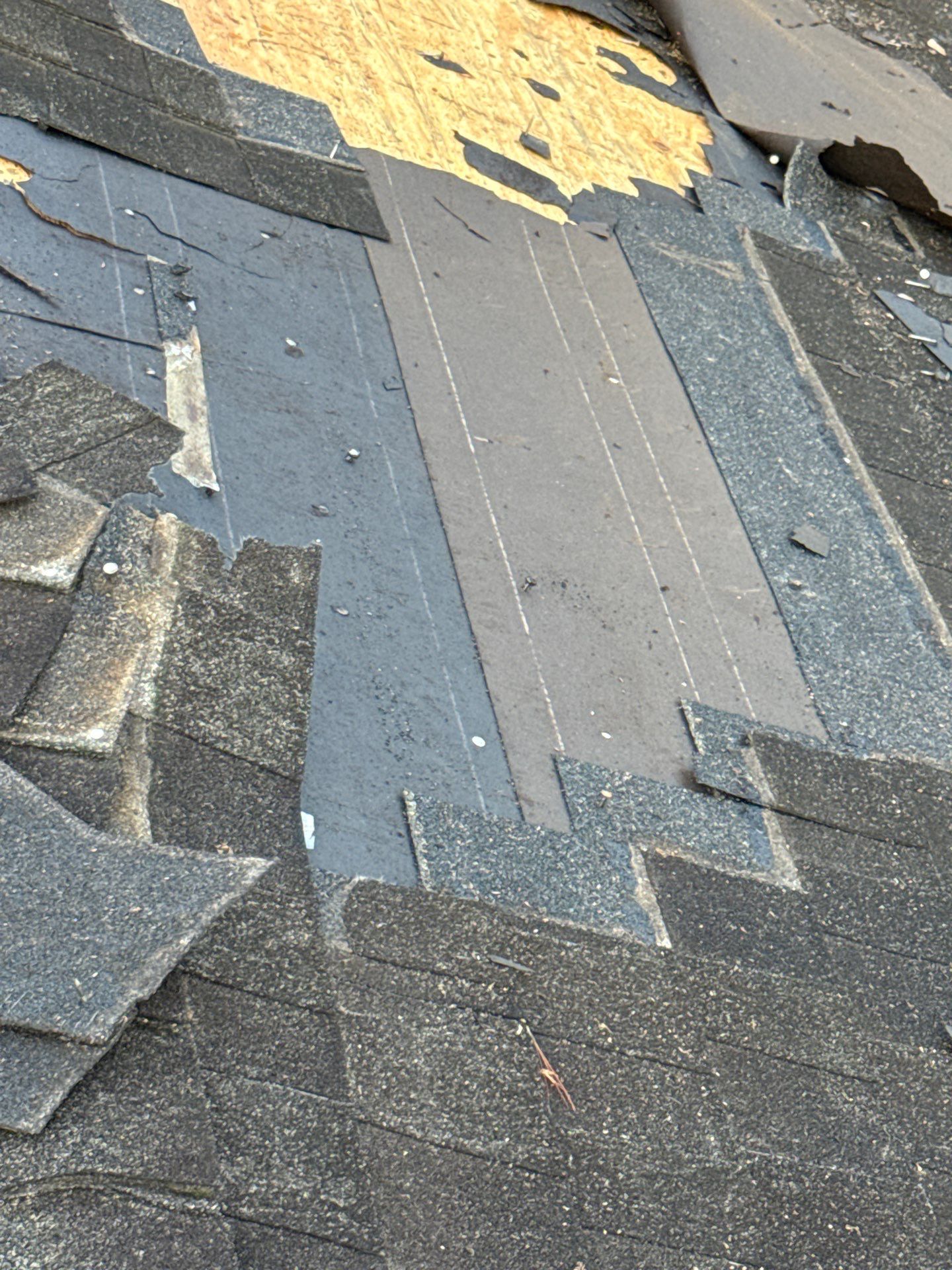 Larry C by Boss Hogg Roofing