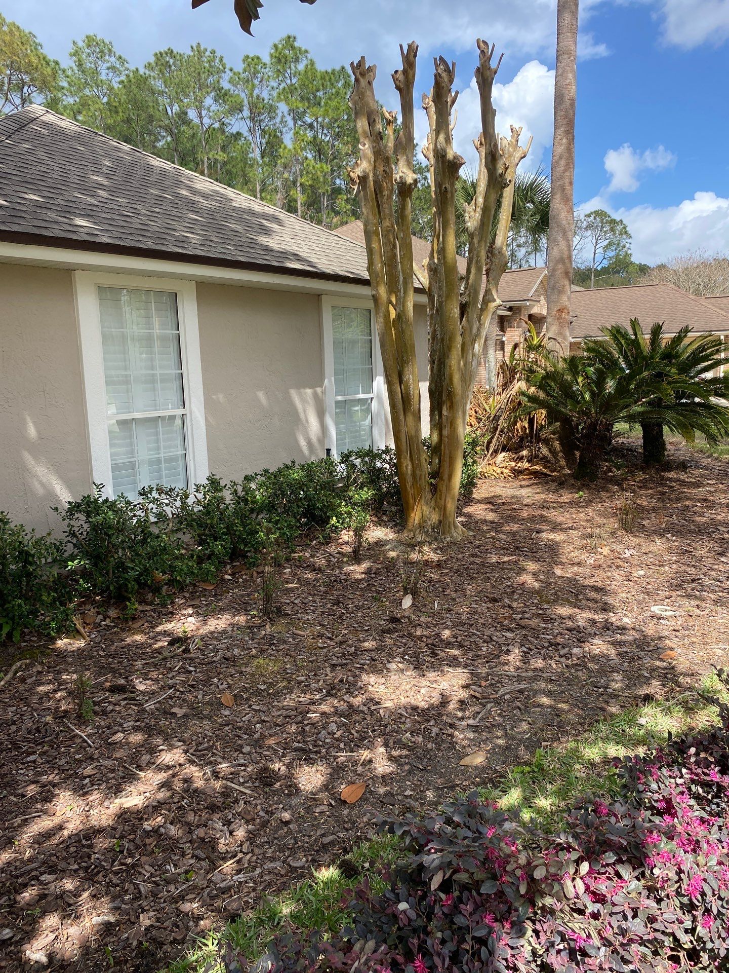 Residential | Landscaping by ProGreen Services