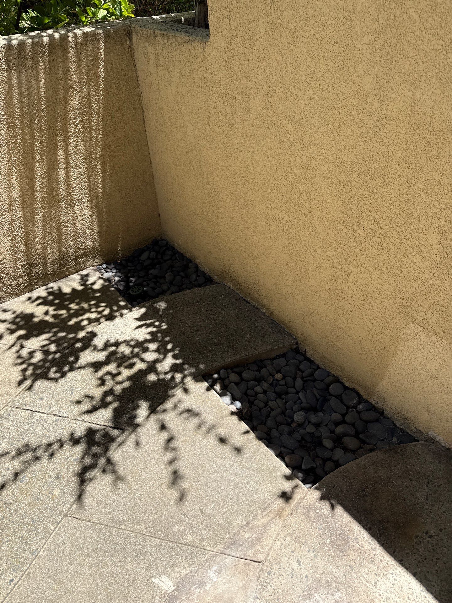 Small Patio Clean Up in Carlsbad by Yard Techs