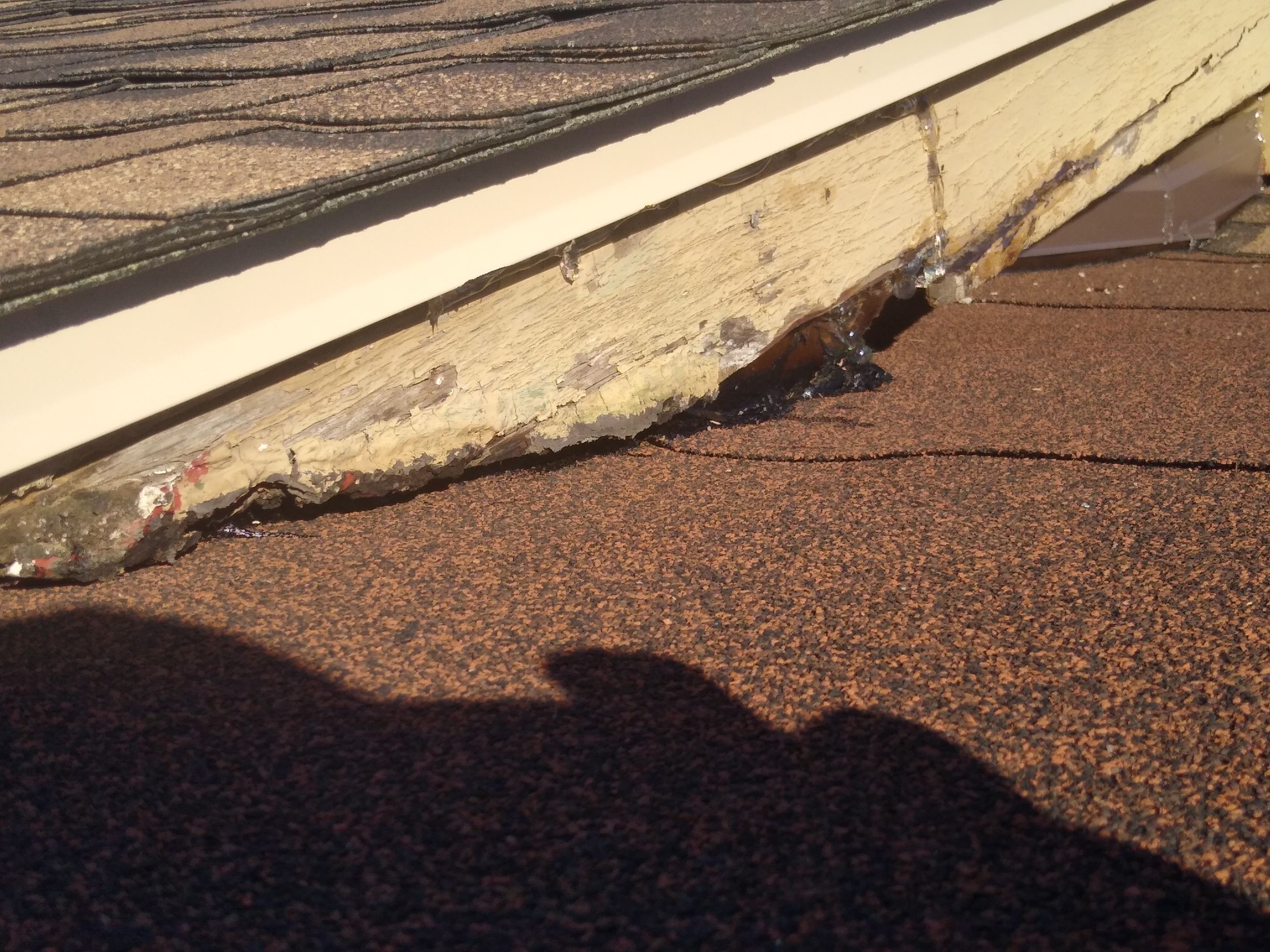 Hail Damage Re Roof  by Dynamic Renovation Contractors