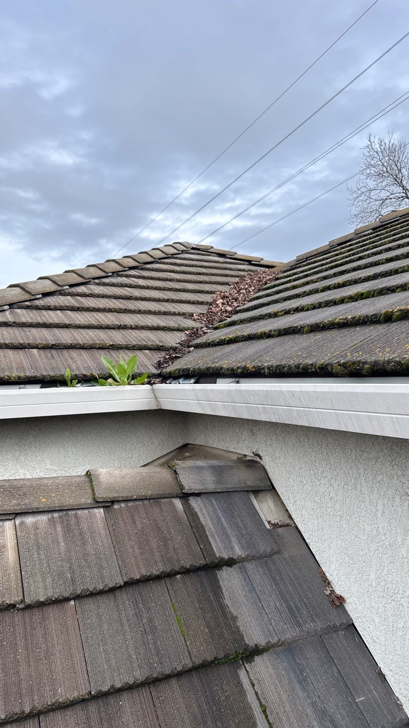 Project by NuLead Construction Inc by NuLead Construction Inc