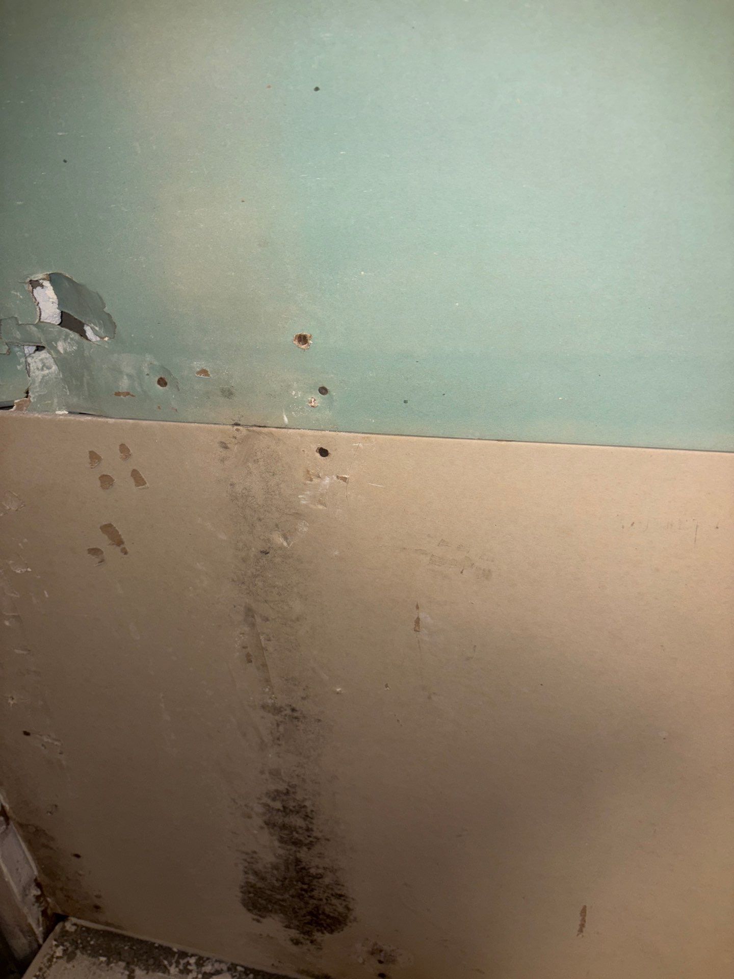 Water Damage Mitigation by All Dry Services of North Austin