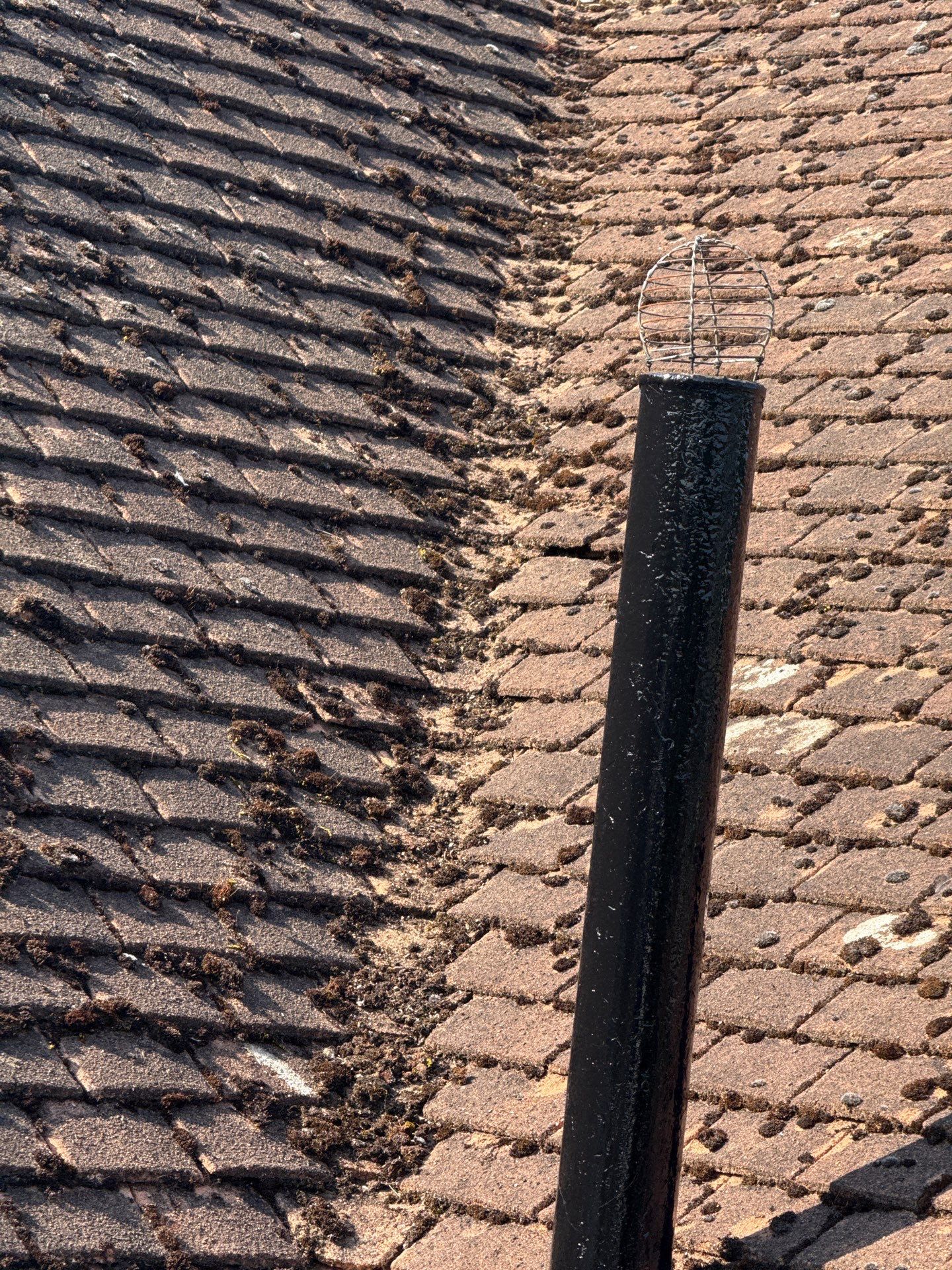 Roof Clean - Gutter Clean - Biocide Treatment by Ges Exterior Cleaning ltd
