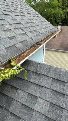 Turtle Shell gutter protection installation in Naperville, IL 60563, photograph 11