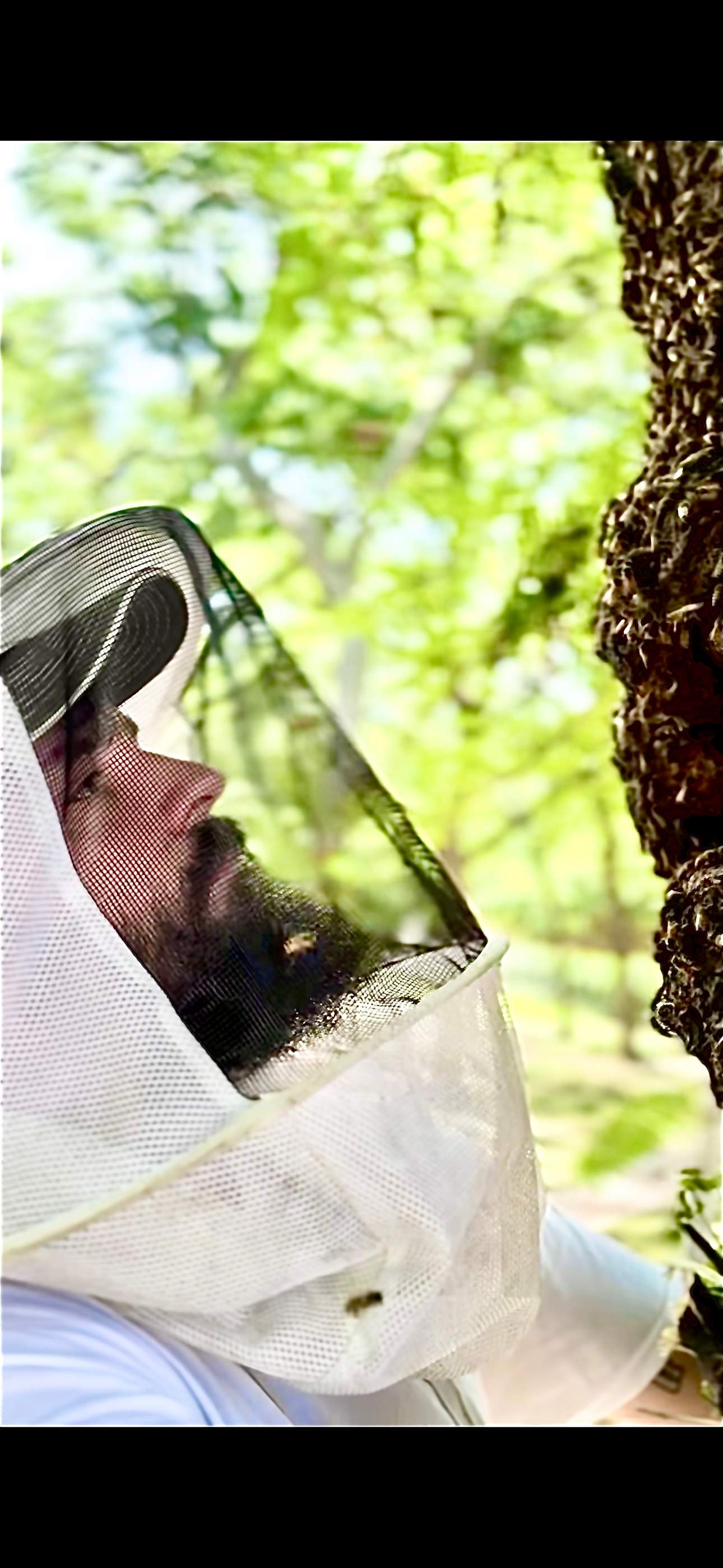 Two More Trees, One More Yard by Rockwall Honey Bee Company