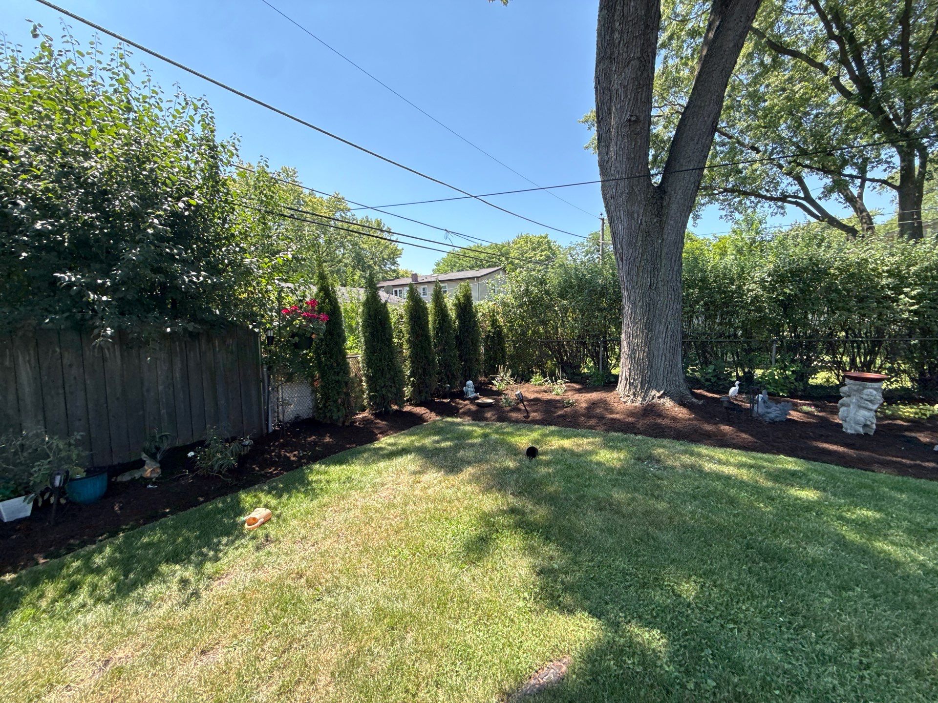Gina K. - Mount Prospect, IL by A&N 