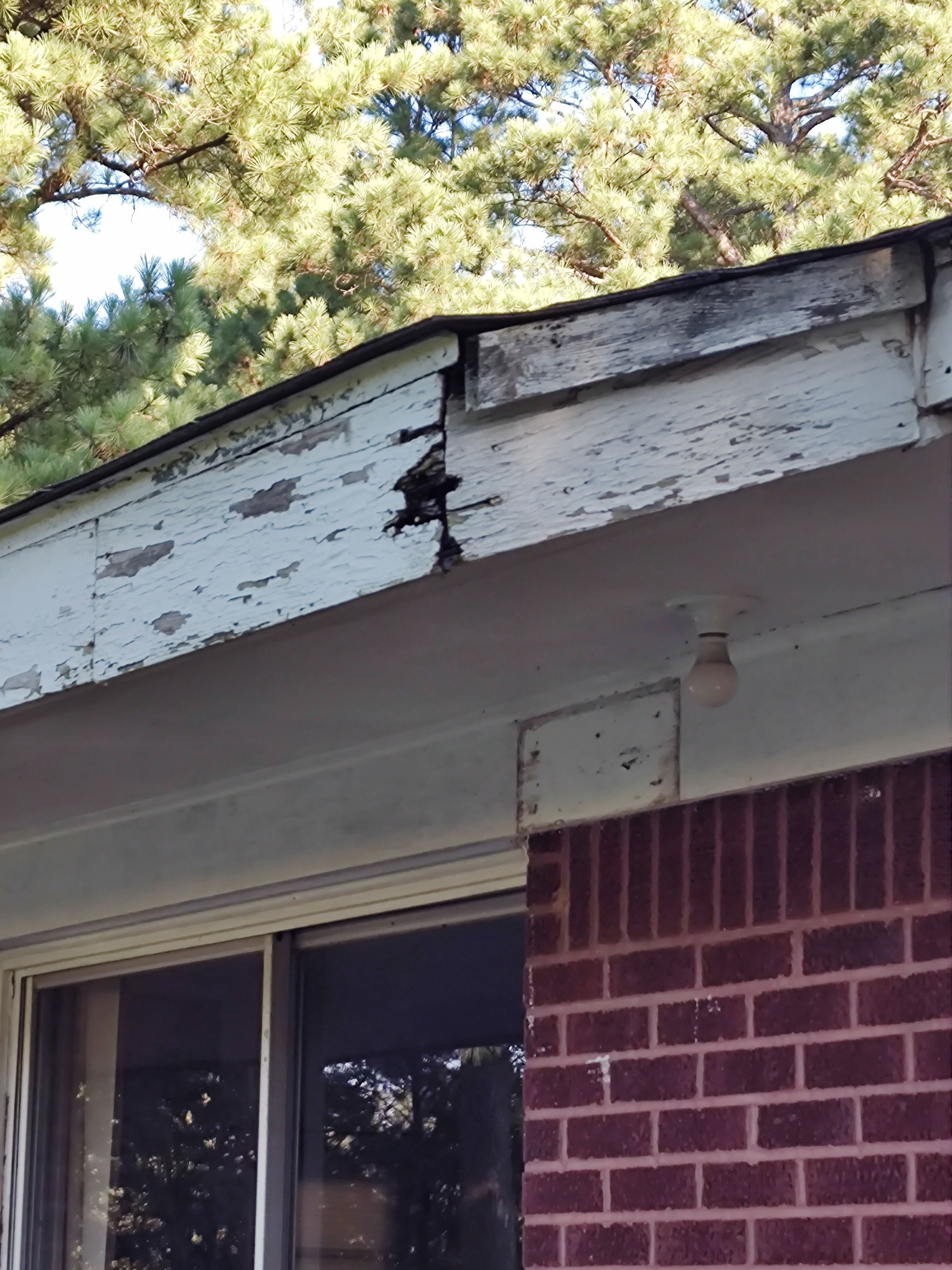 Residential Roofing Repair using Malarkey Vista: Sienna Blend by Hostetler Roofing
