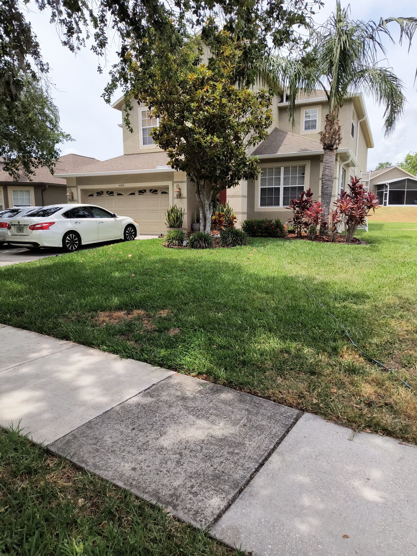 Modern 7-Inch Seamless Gutters for Luxury Homes in Tampa FL by Gutter Professors