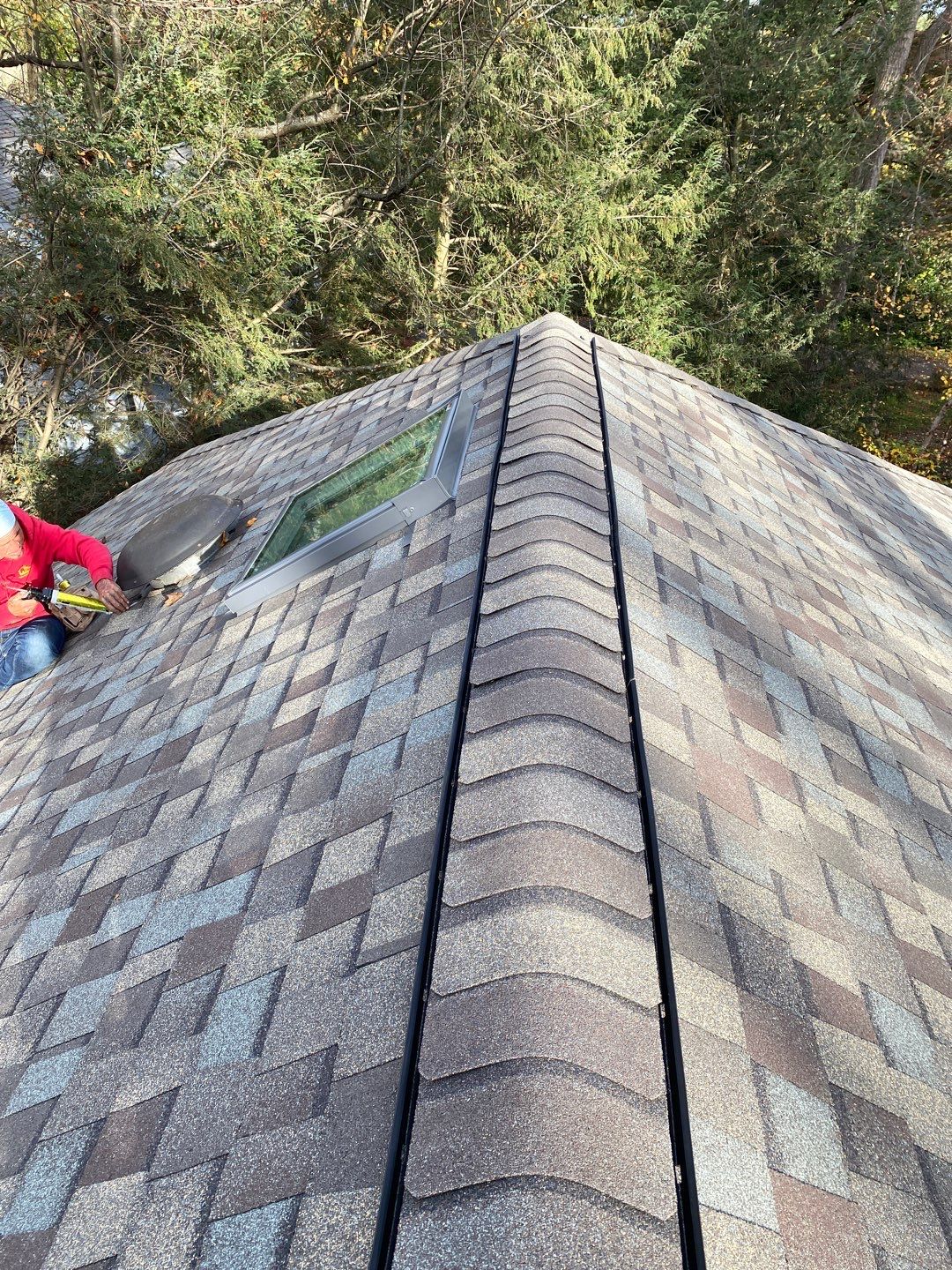 Install new shingles and new skylights  by Alpha Design Services
