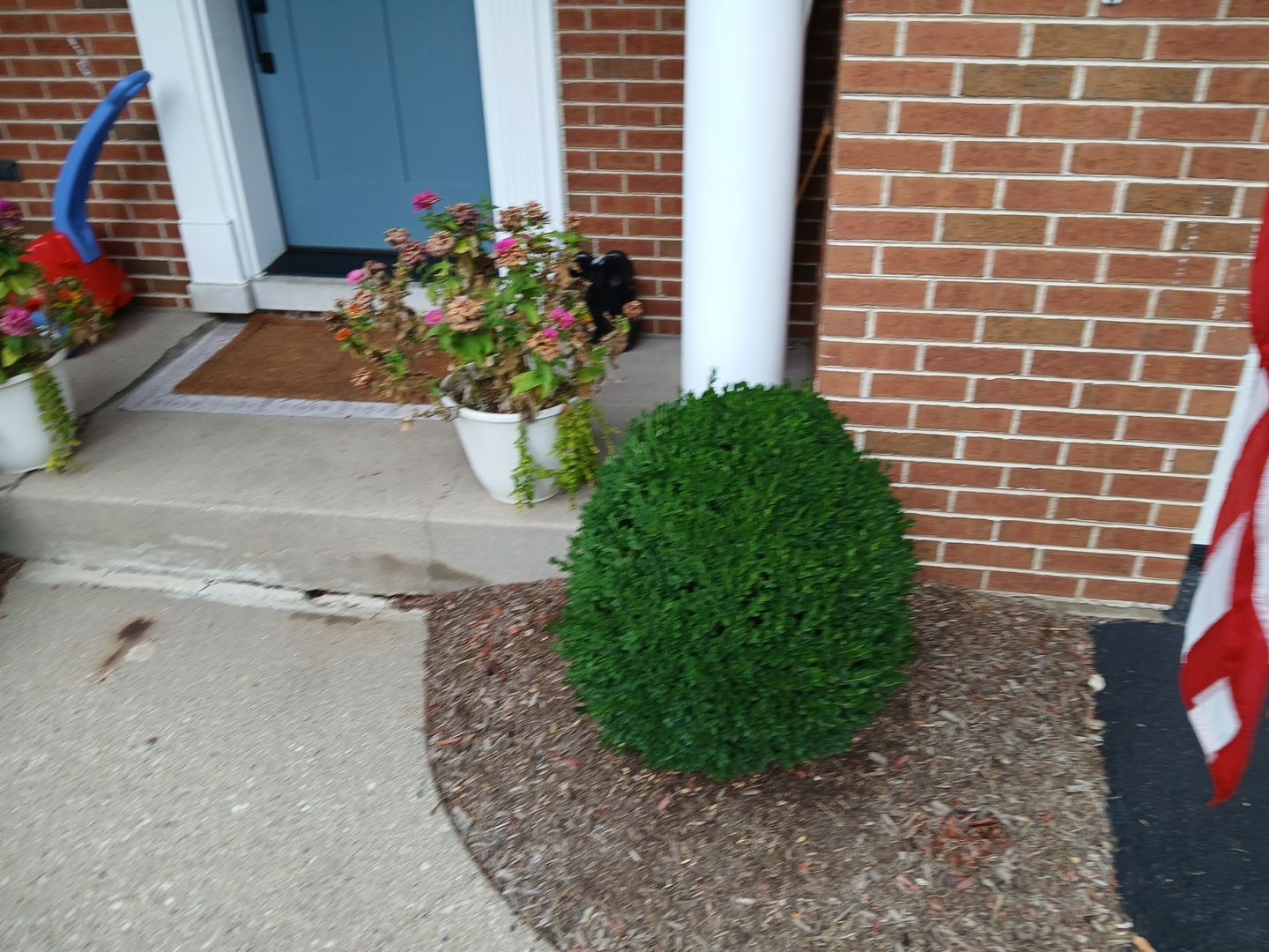 Michael I. - Glenview, IL by A&N 