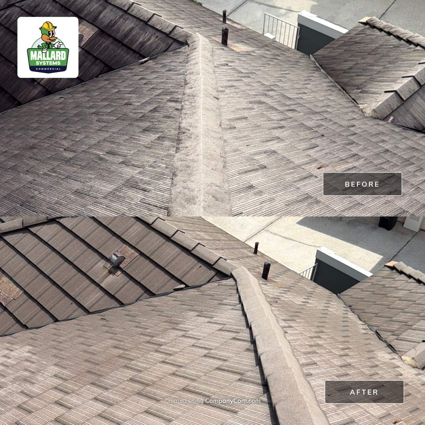 Professional Tile Roof Cleaning in Dr. Phillips by Mallard Systems