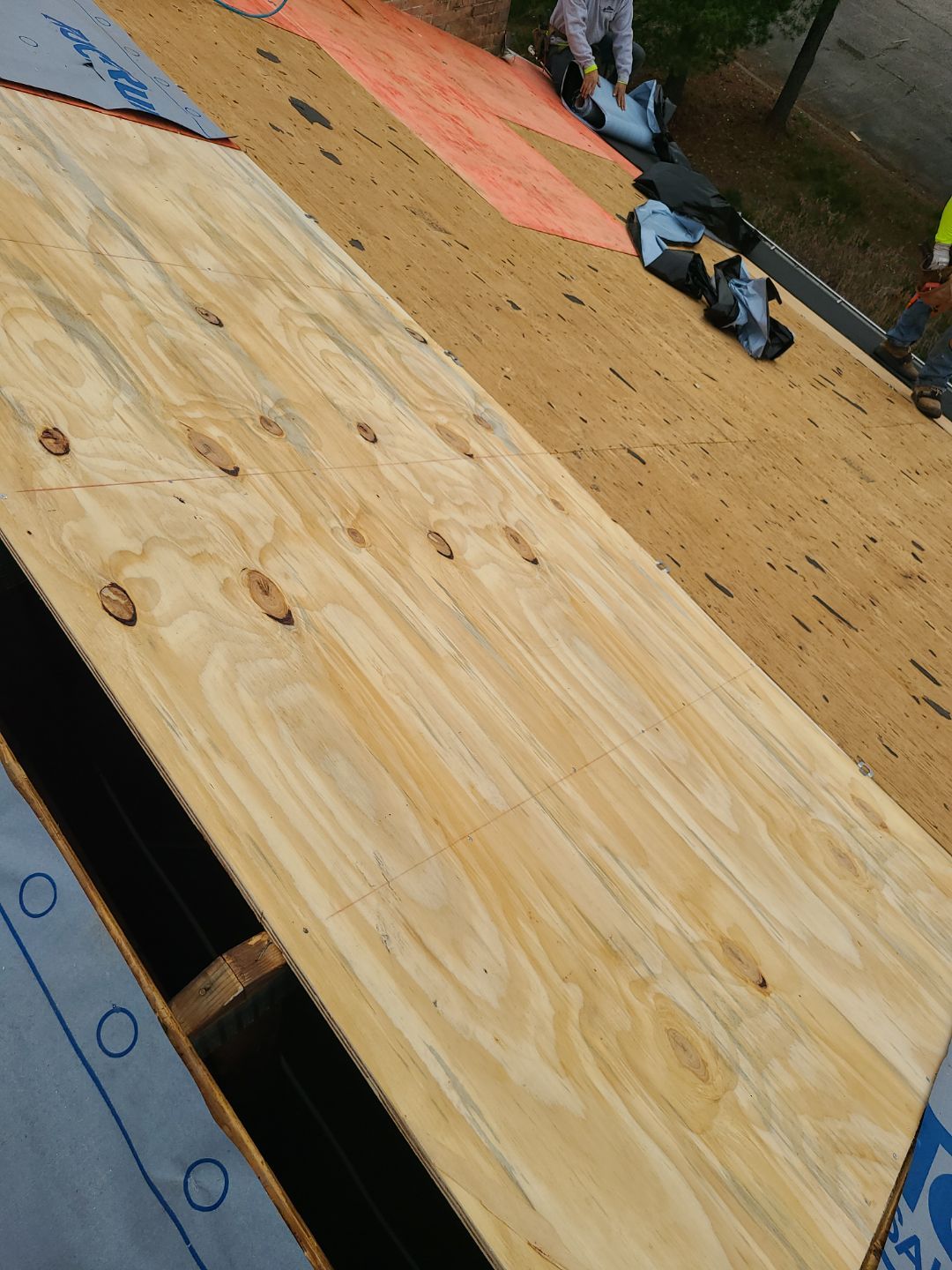 Springfield: Residential Roof Replacement with CertainTeed Landmark Pro in Max Def Red Oak by RM Banning, Inc.