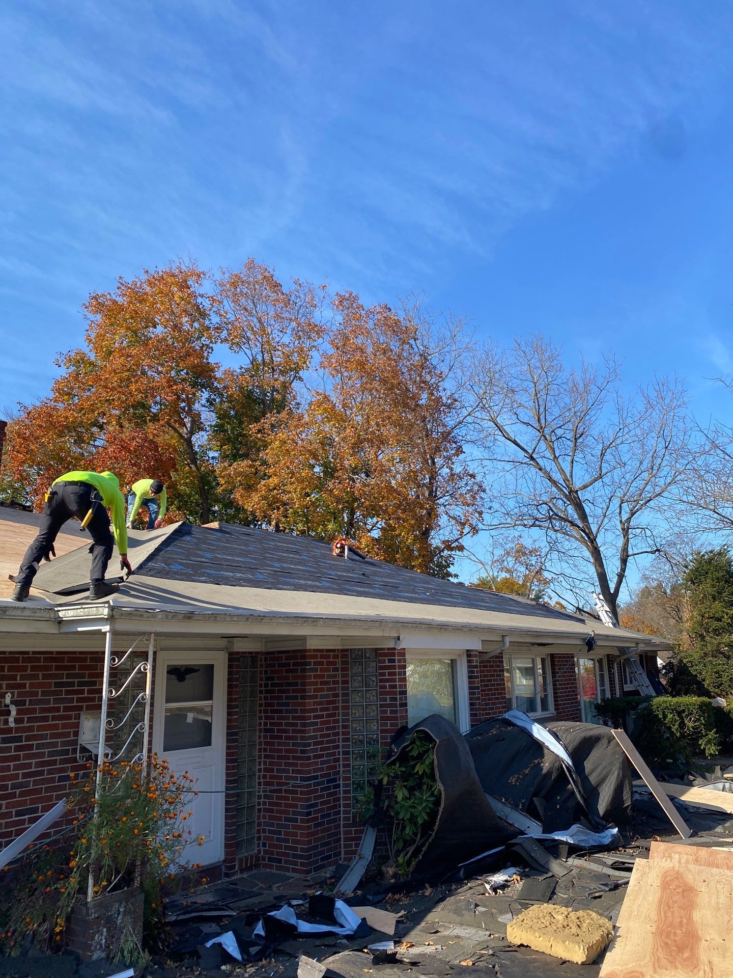 Silver Birch Shingles by Reimagine Roofing