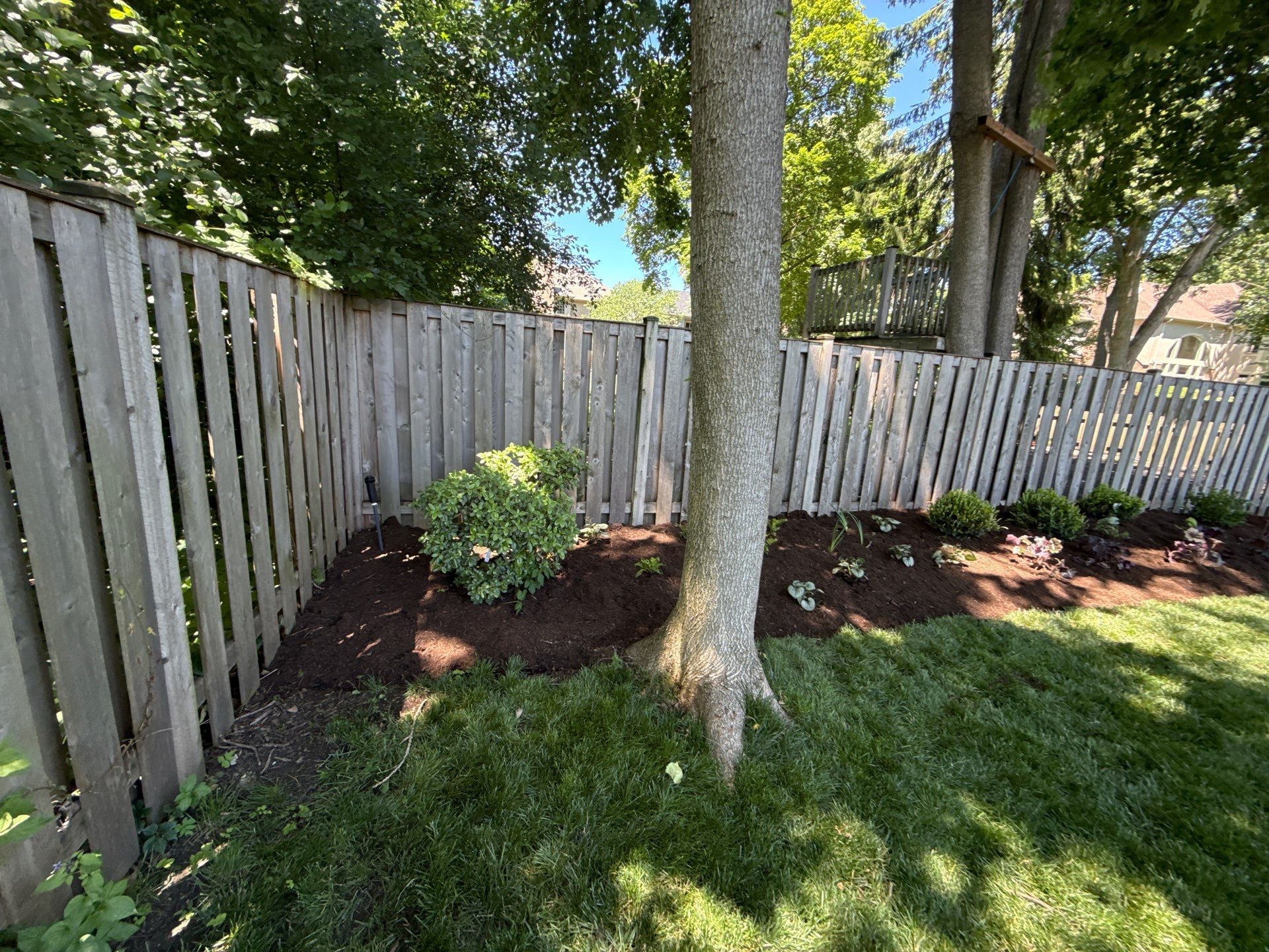 Kevin K. - Deerfield, IL by A&N