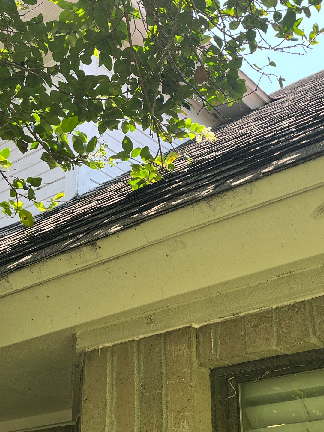 Grey is the new Black by Bayfront Roofing and Construction