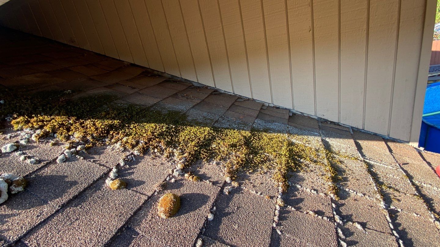 Estate Gray Shingles by Reimagine Roofing