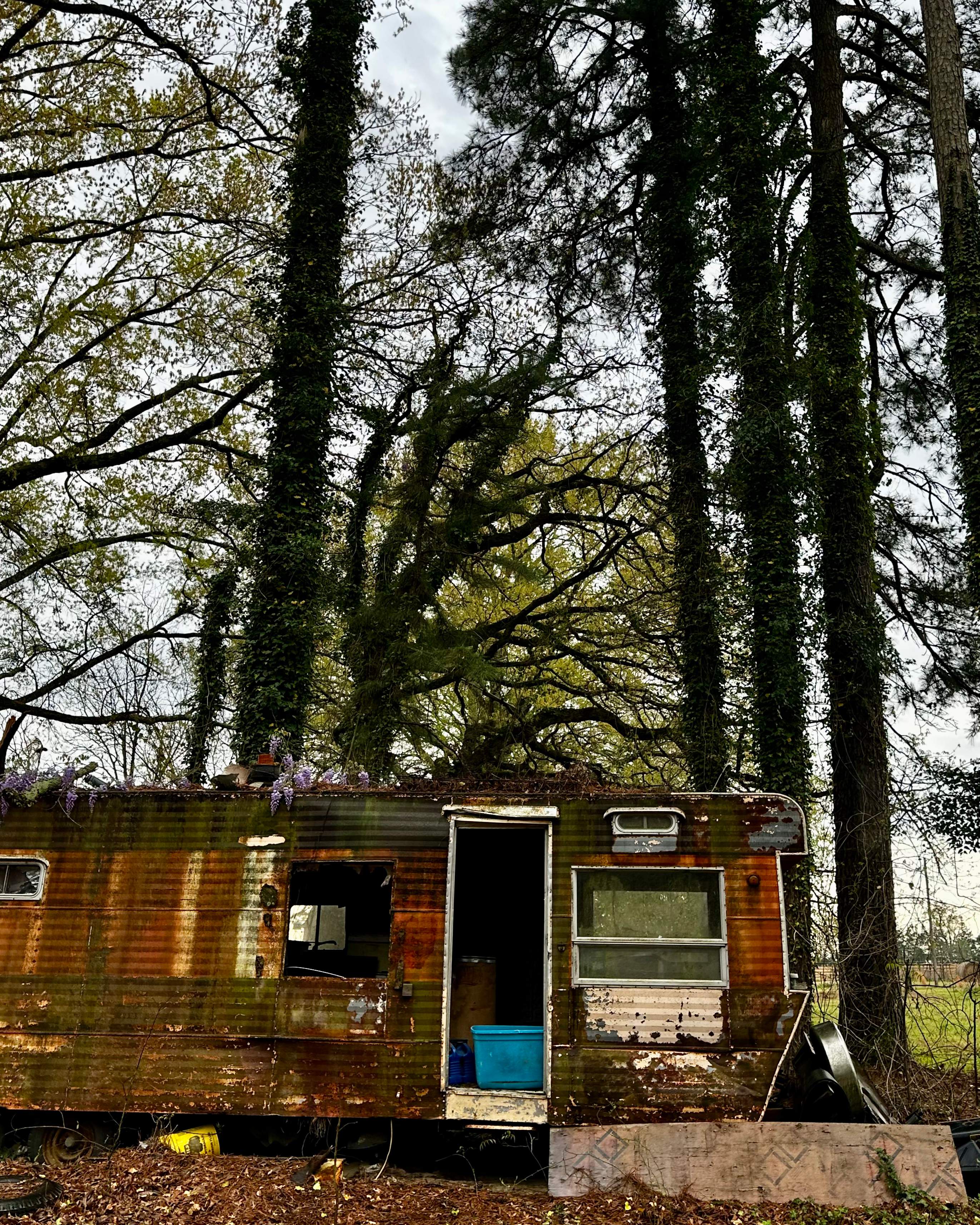 BeeGirl ETX HQ by Rockwall Honey Bee Company