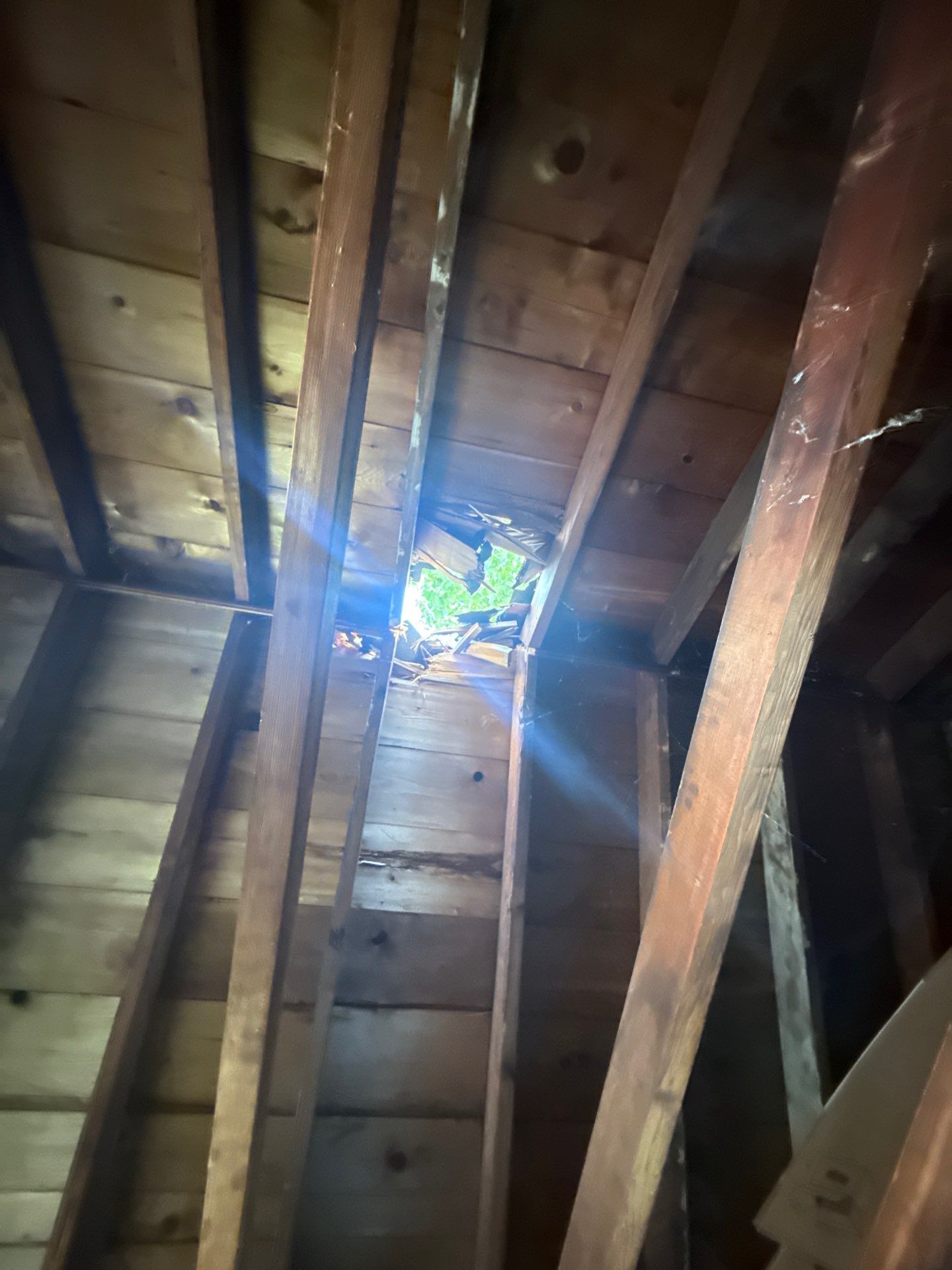 Garage Roof Replacement & Trim Repair by Mighty Dog Roofing of Greater Middlesex County