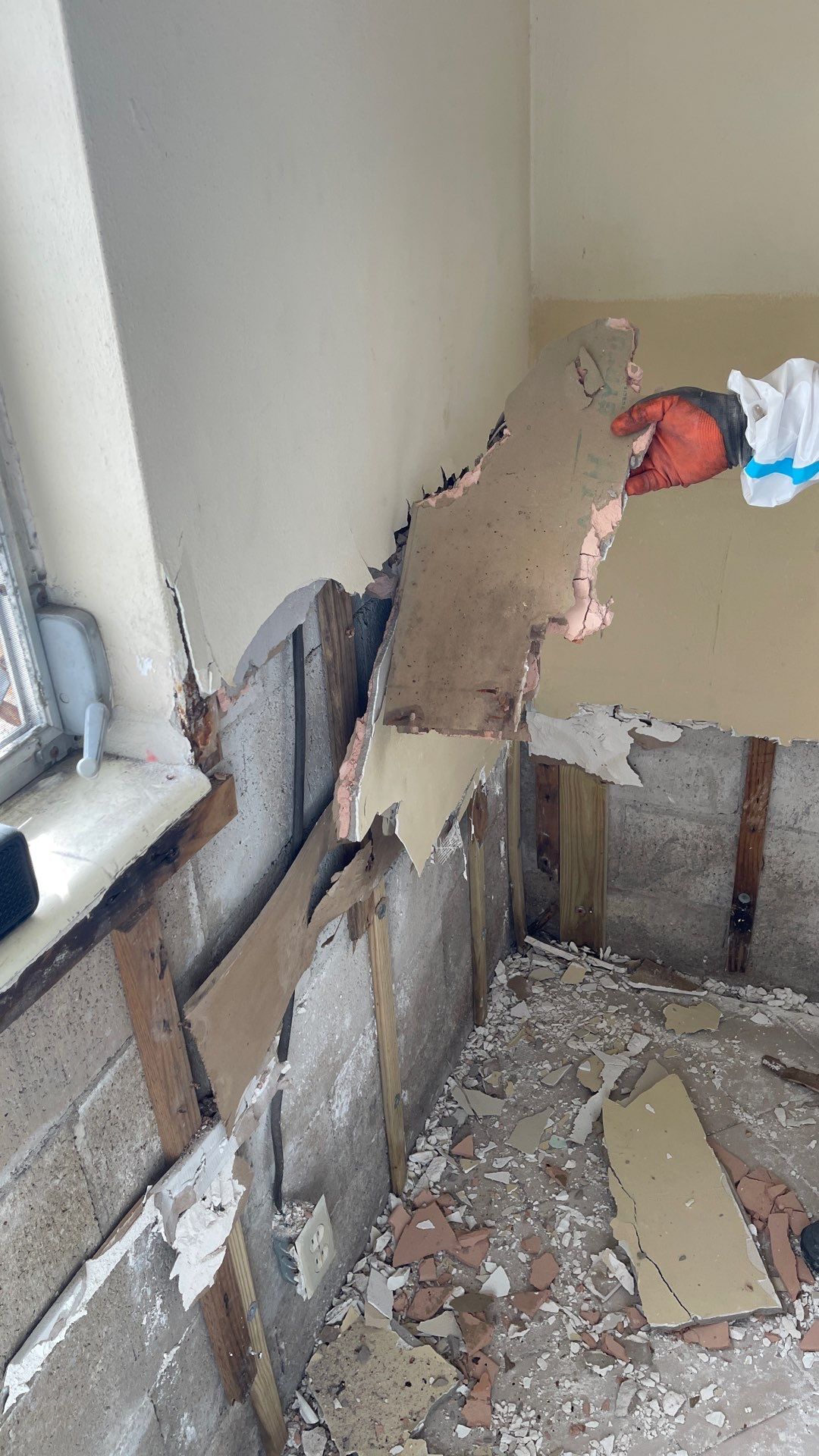 Mold Remediation  by THE RAPID TEAM