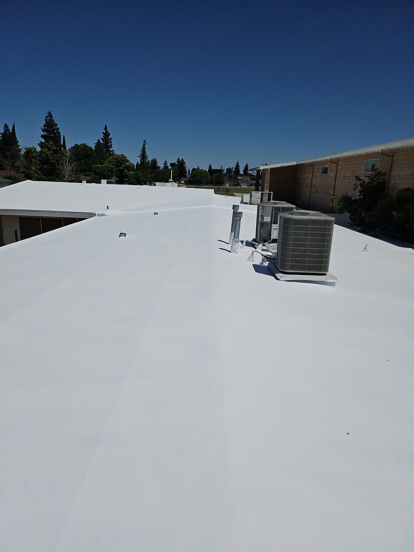 Single-ply restoration system using Benchmark/PUMA XL coatings over TPO single-ply roofing by Straight Edge Roofing Inc