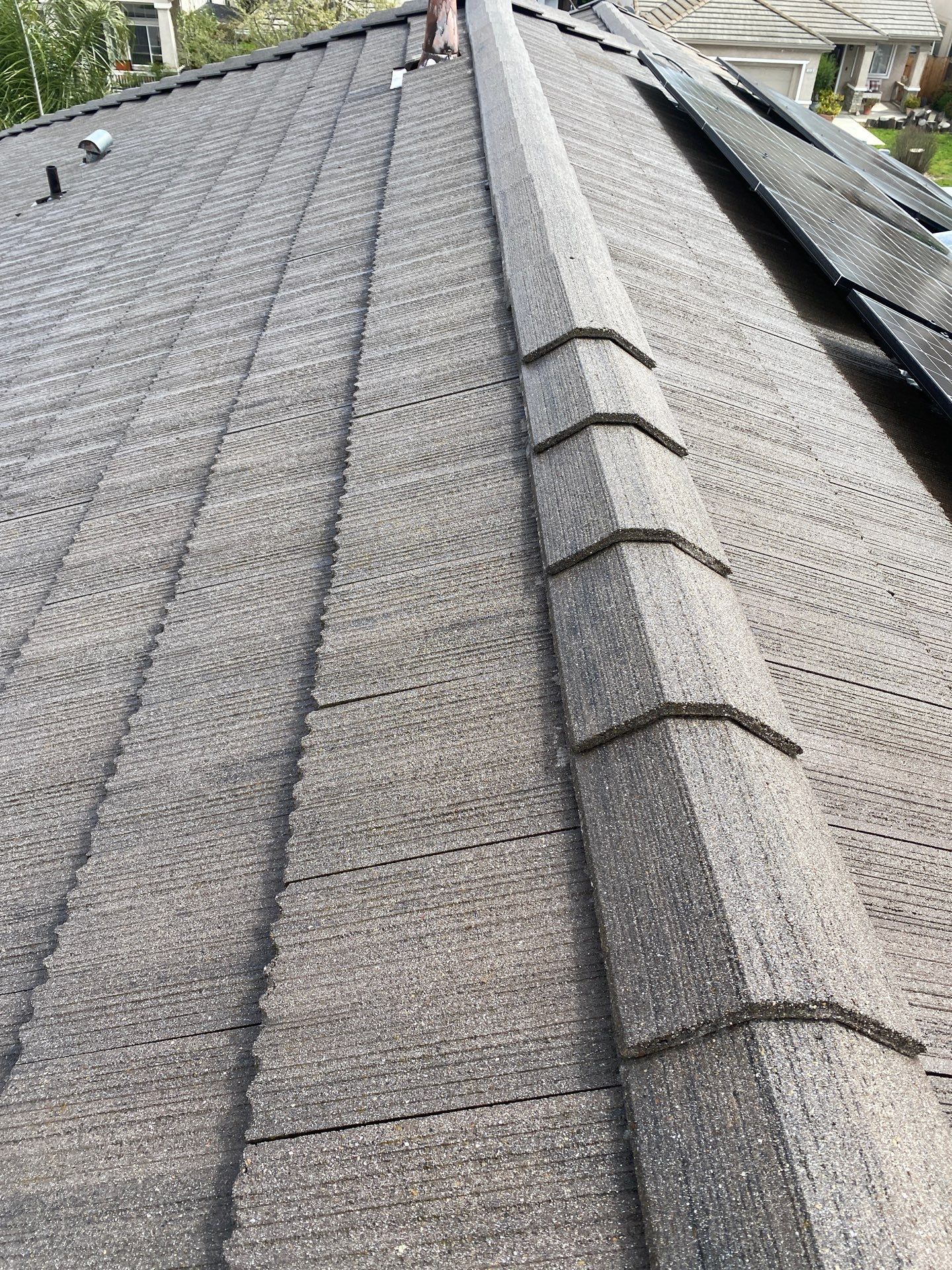 Moss Removal by Top Elevation