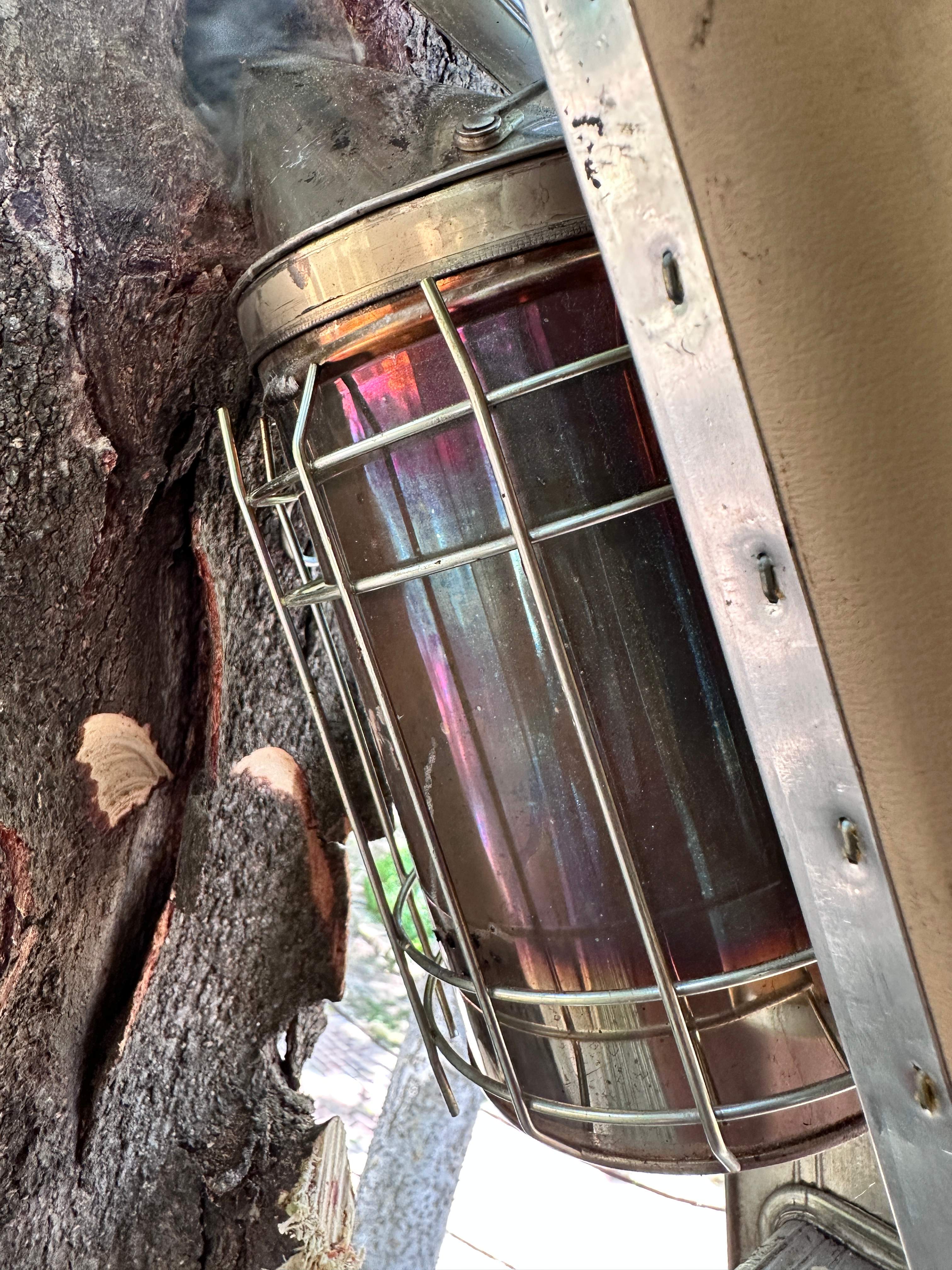 Two More Trees, One More Yard by Rockwall Honey Bee Company