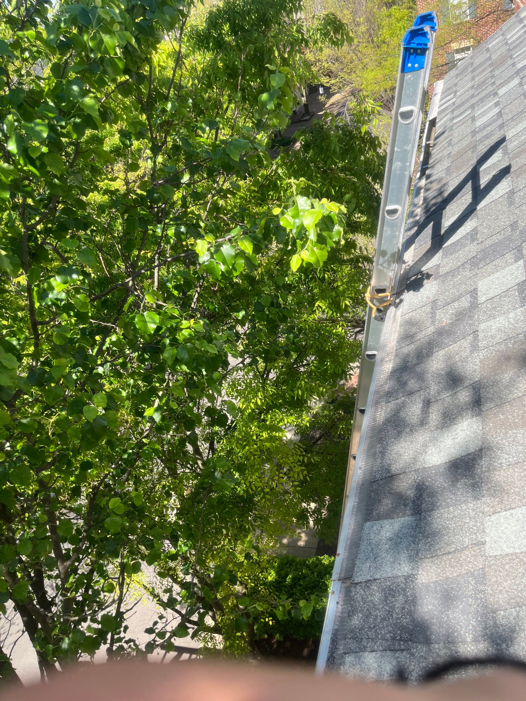 Alexandria: CertainTeed Landmark Pro Designer Shingles in Max Def Georgetown Gray by RM Banning, Inc.