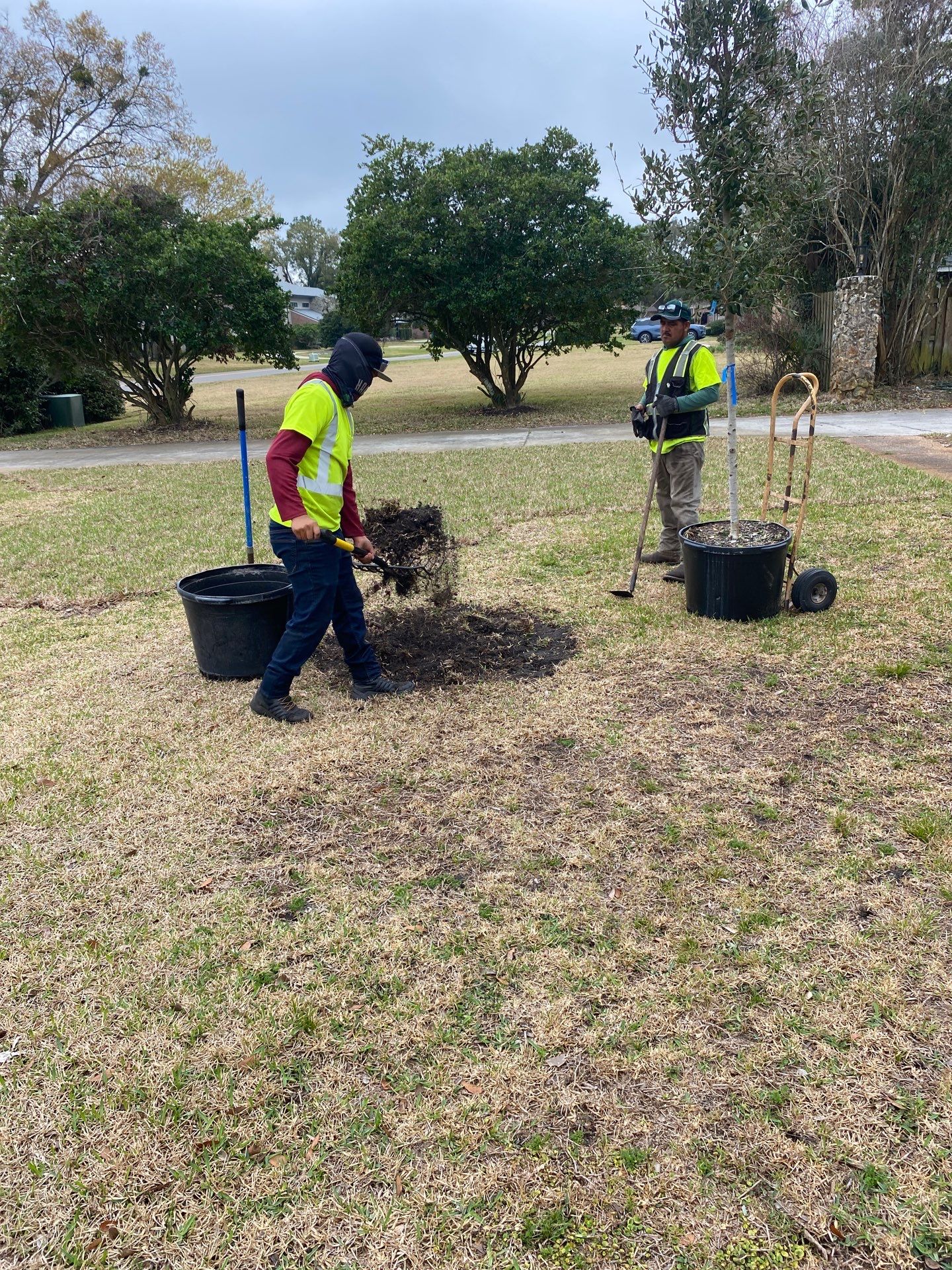 Deerwood Resident | Tree Install by ProGreen Services