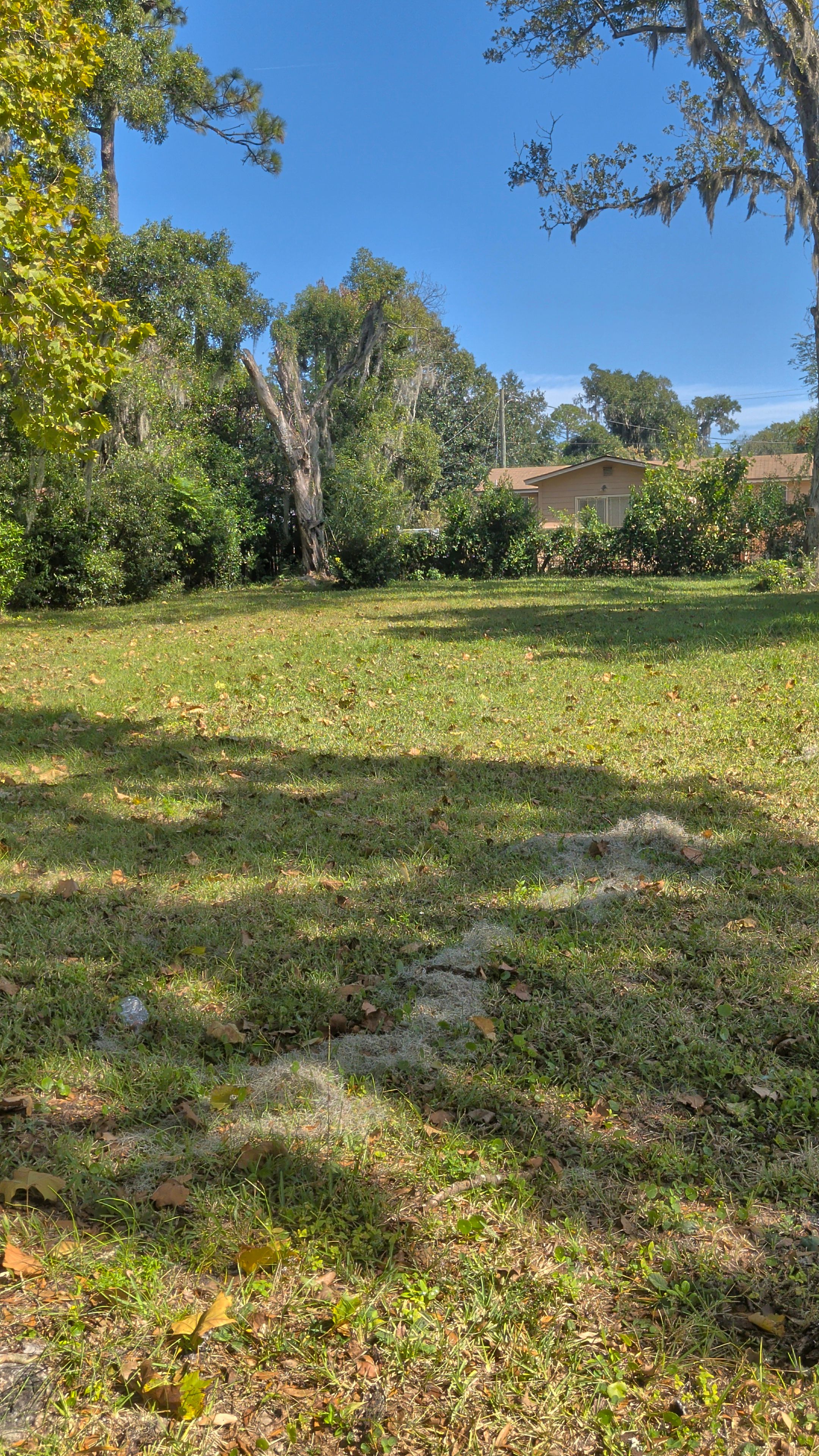 Vacant Lot Cleanup & Ongoing Maintenance — Northside Jacksonville (32219) by Harmoni Home Services