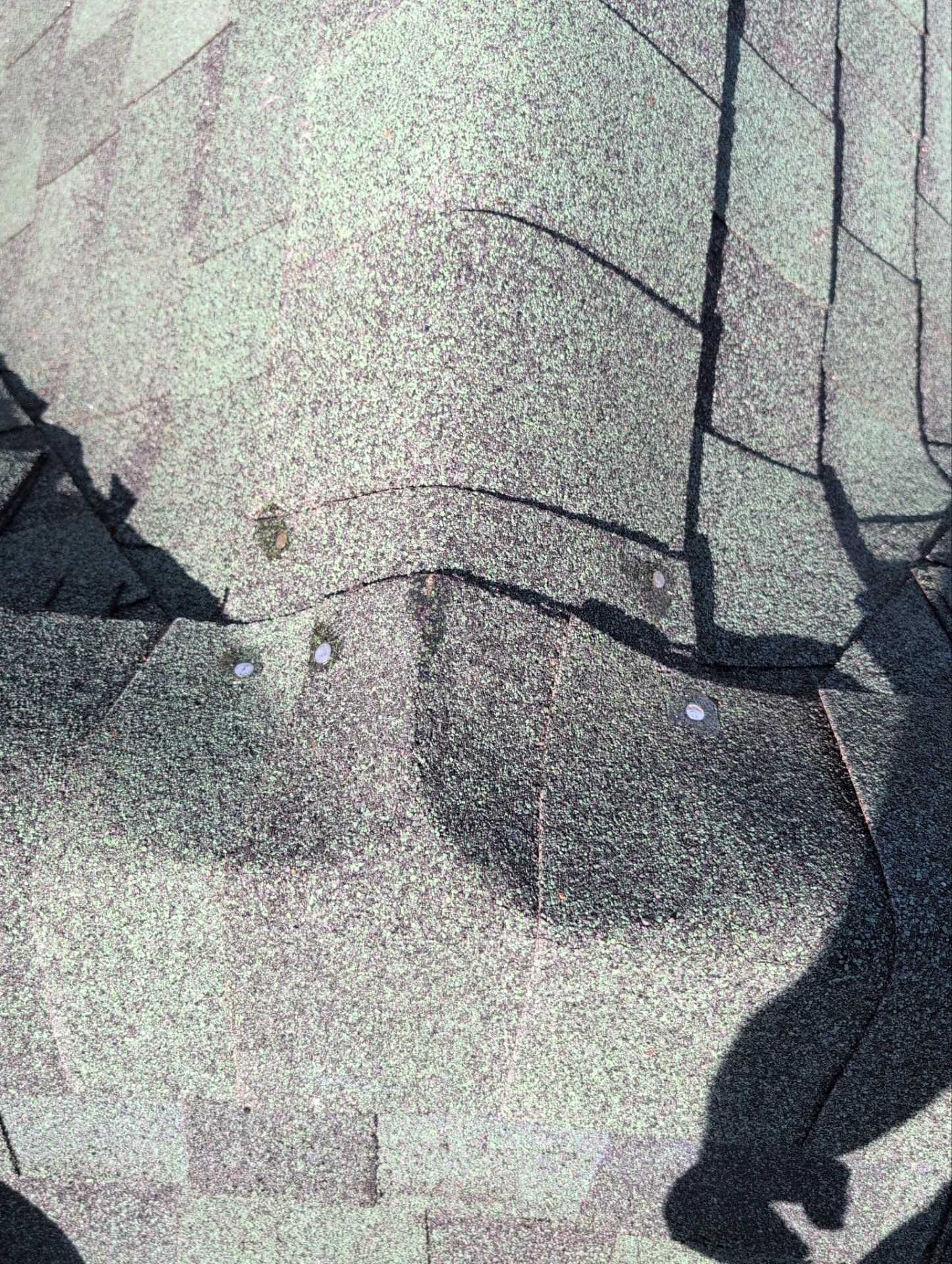 Roof Replacement in Nixa by Table Rock Design + Build