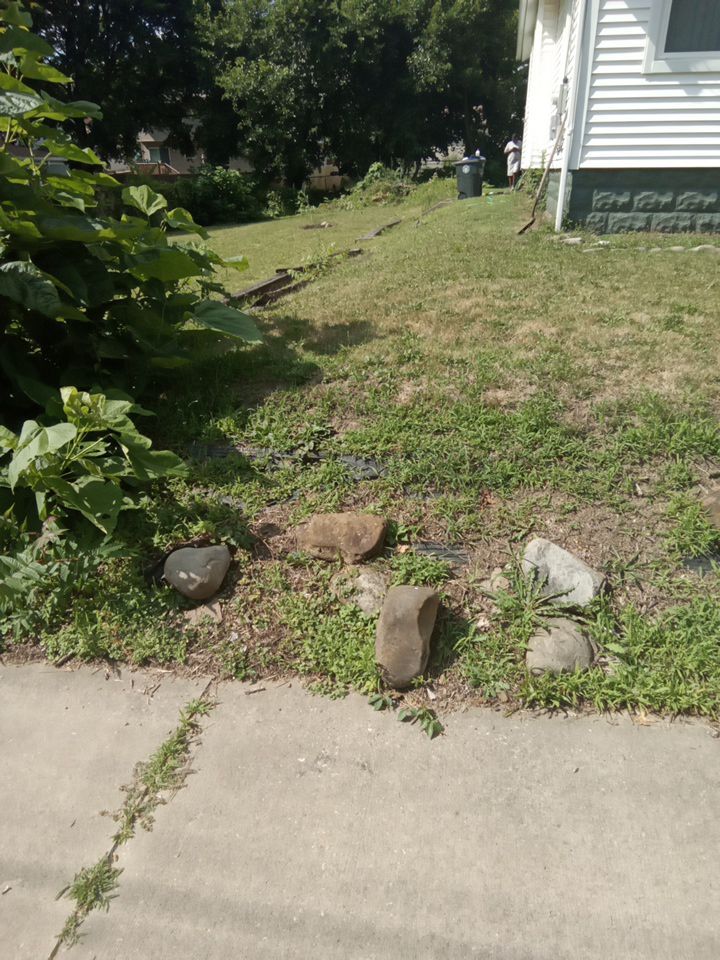 Tree Removal using Tree Removal by Mike Jones & Sons Tree Service LLC 