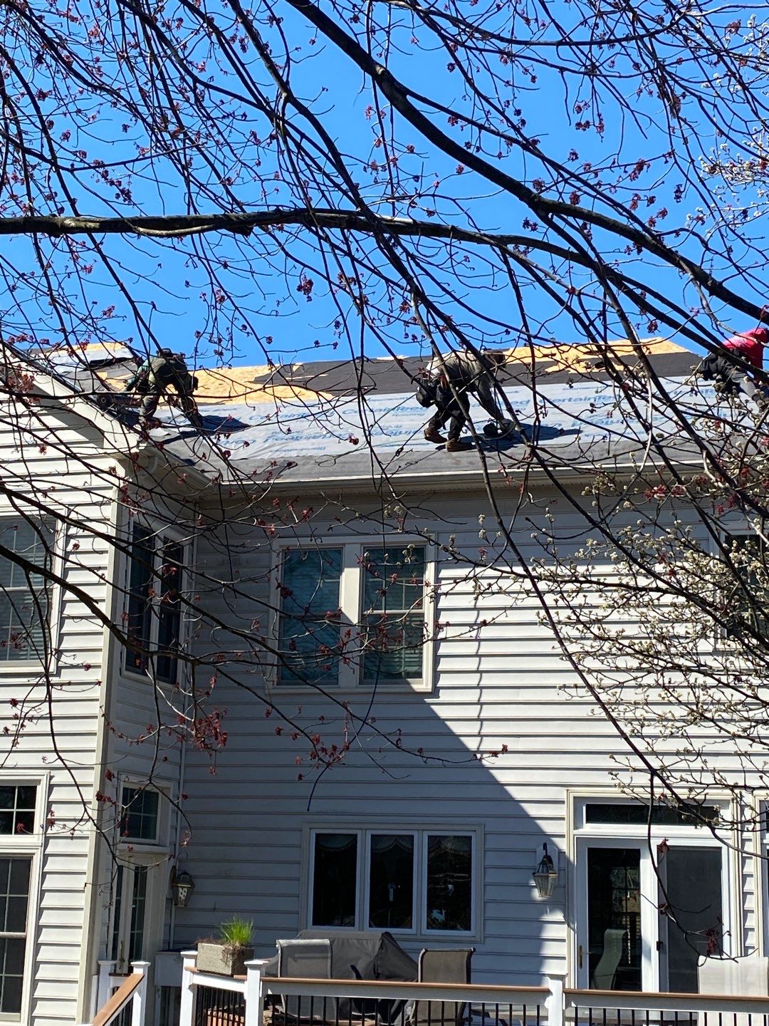 New Roof Installation & New Gutters and downspouts  by Alpha Design Services