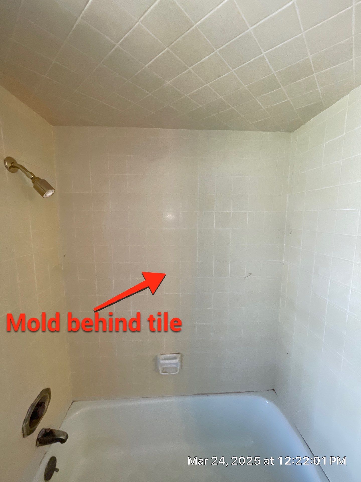 Project in Fresno  by 911 Hazmat Cleanup 