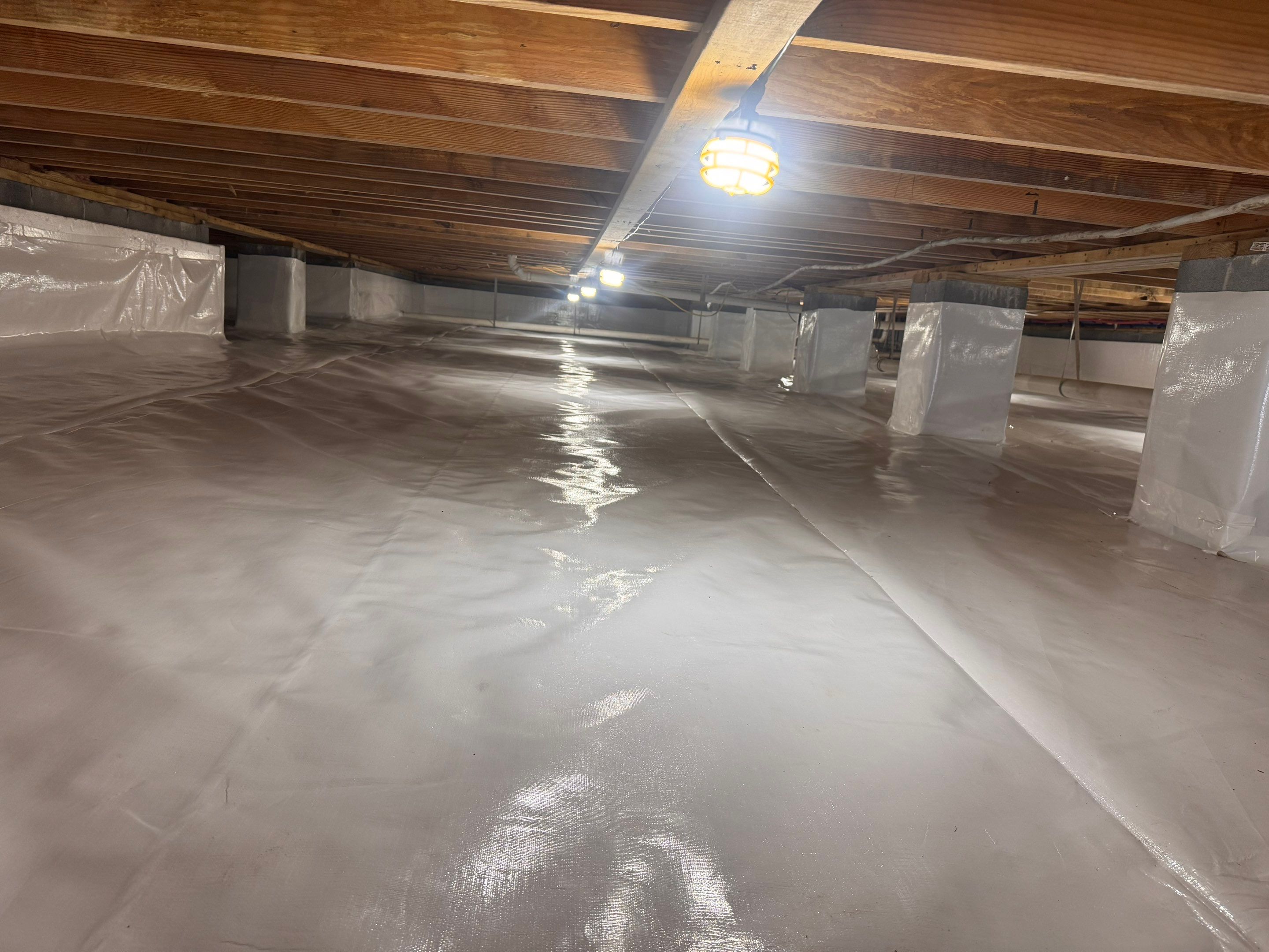 Premium Encapsulation with 20Mil, Borafoam insulation and Light System. by Impact Crawlspace