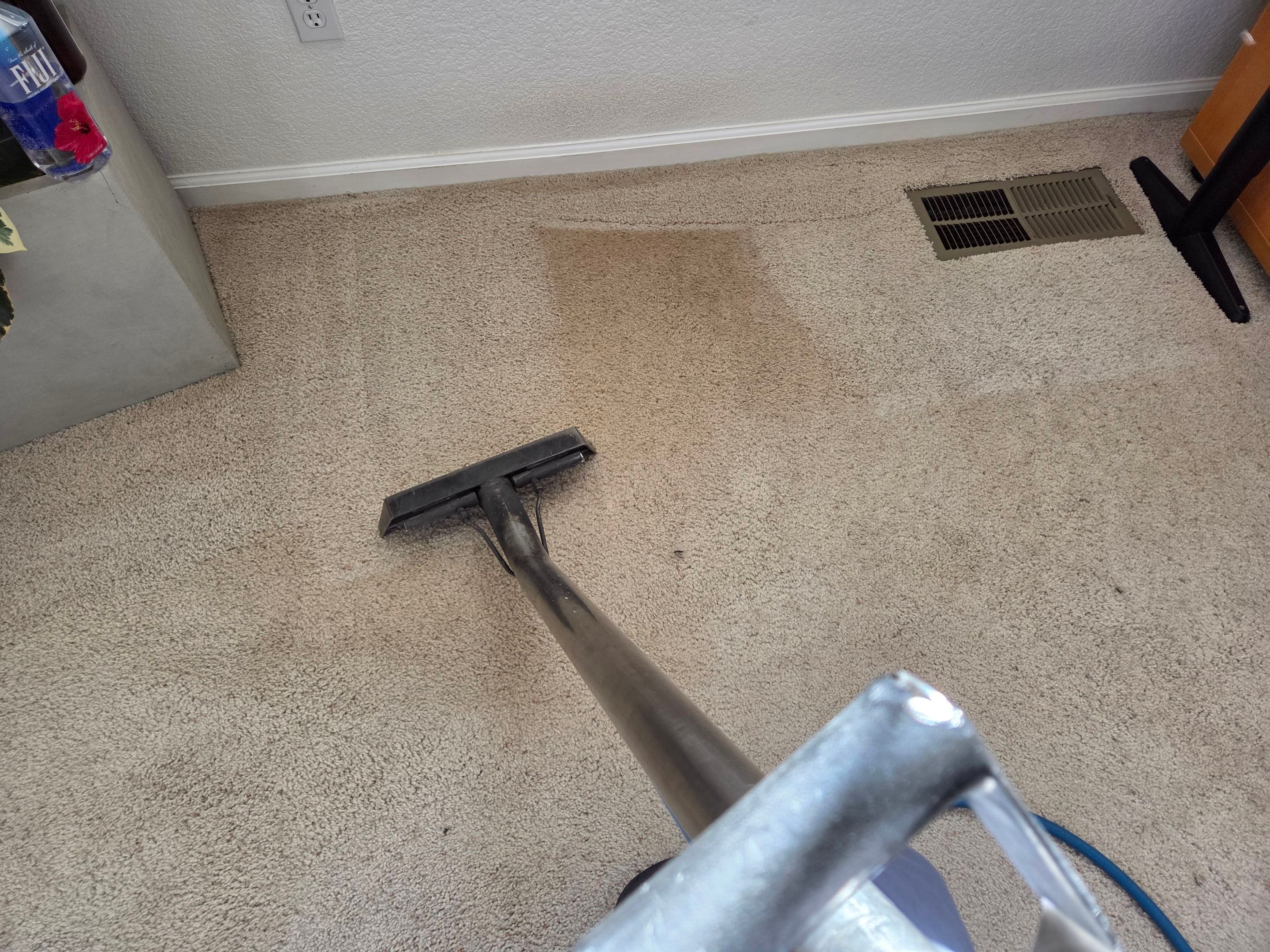 Professional Carpet Cleaning and Soil Extraction in Elk Grove by Ardent Carpet Restore LLC