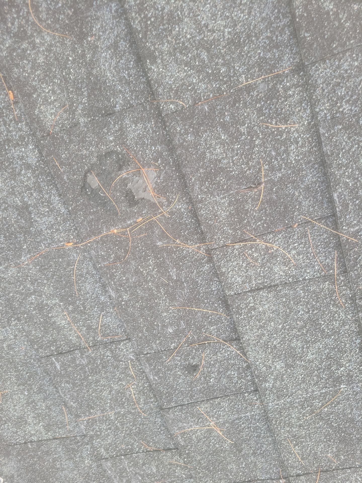 ReRoof  using Owens Corning Duration by The B.A.R Roofing