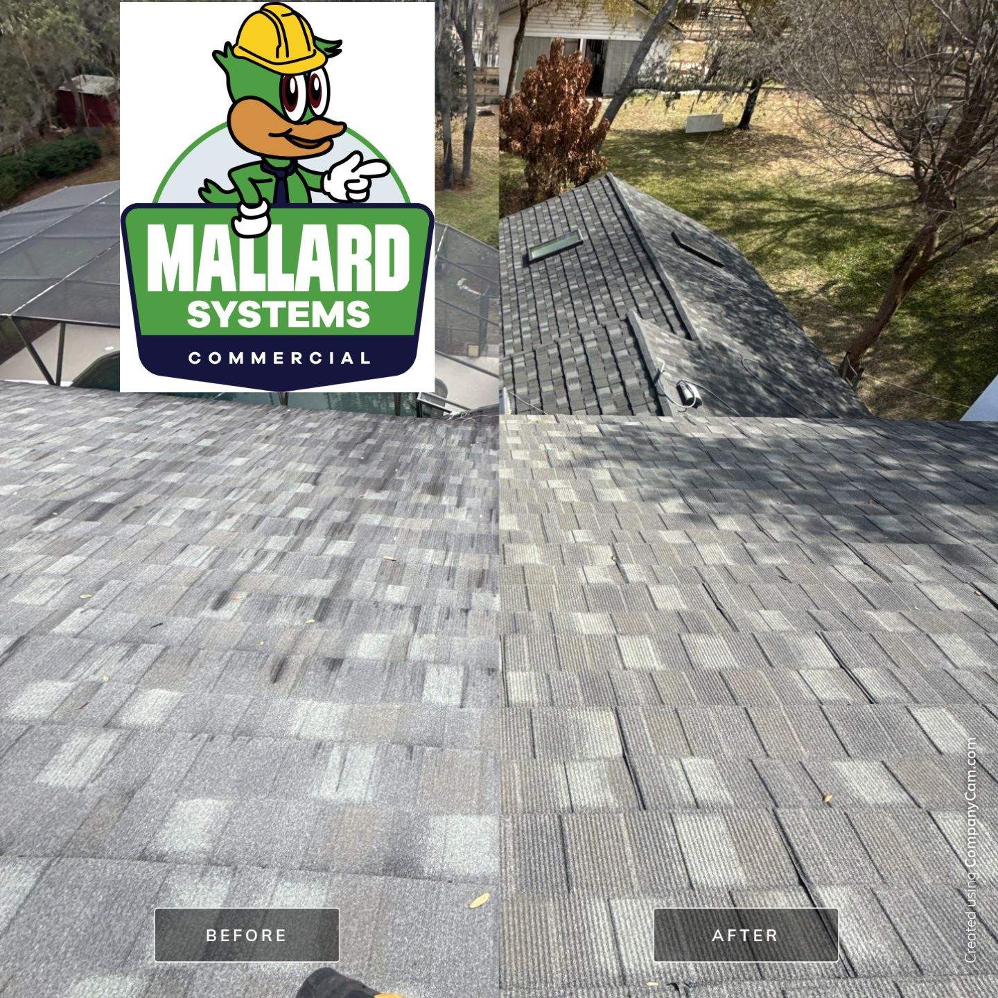 Stone-Coated Metal Roof Cleaning by Mallard Systems