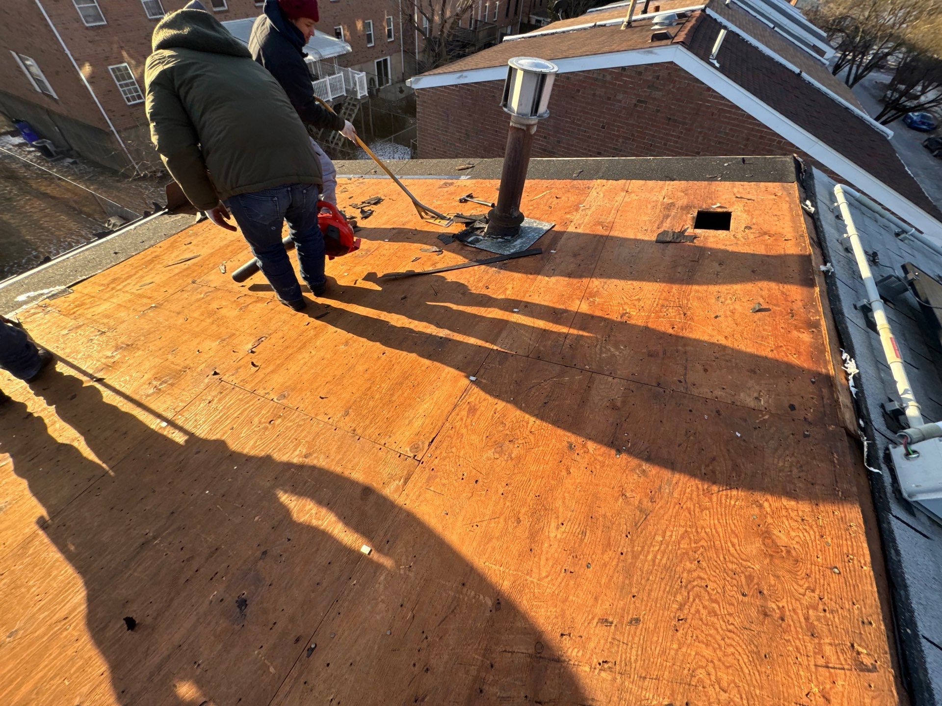 Silver Birch Shingles by Reimagine Roofing
