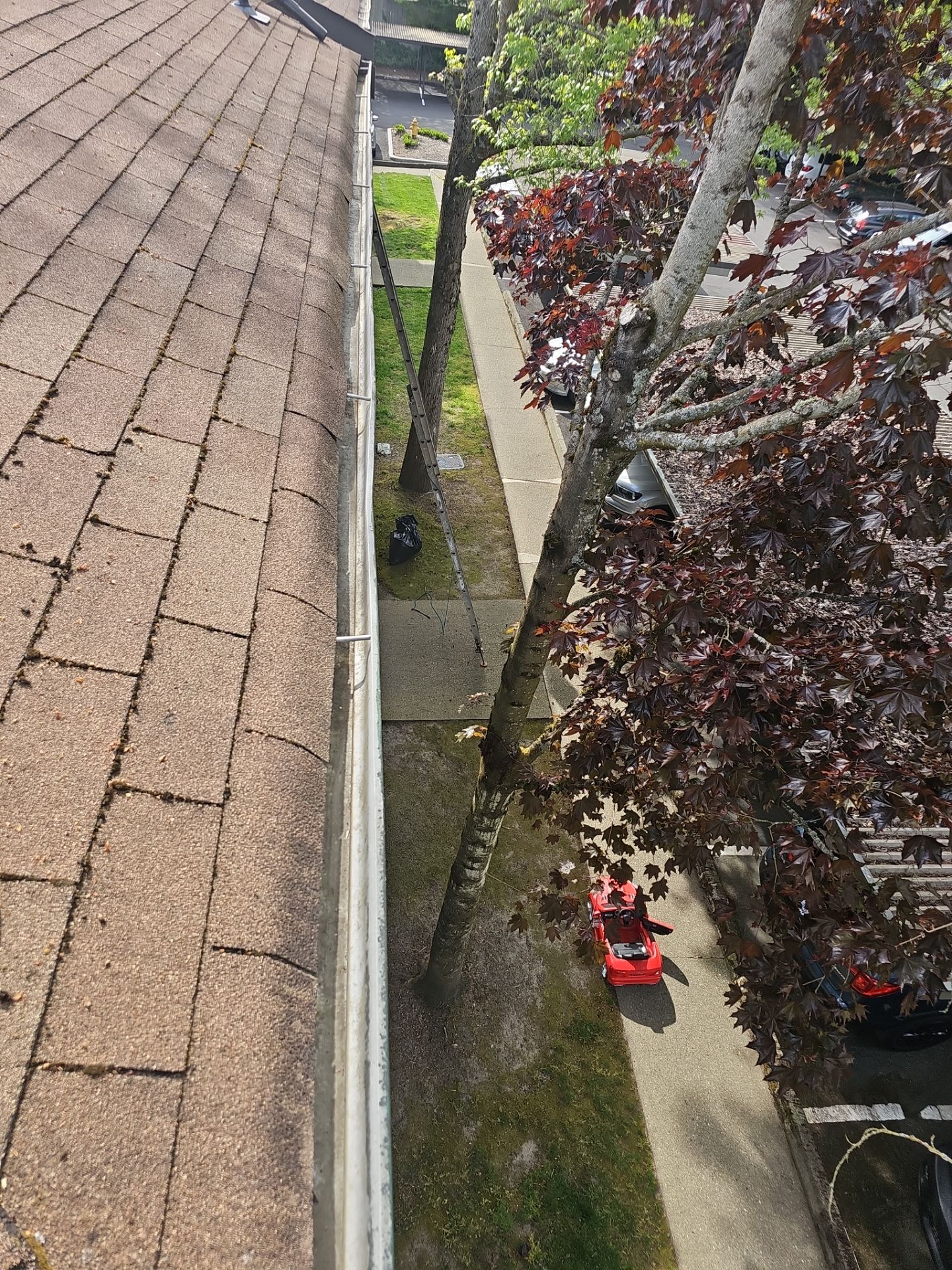 Commercial gutter cleaning Bellevue, WA after photo with clean gutters
