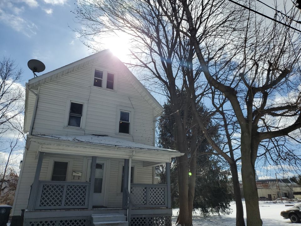 Tree Trimming using Tree Pruing by Mike Jones & Sons Tree Service LLC 