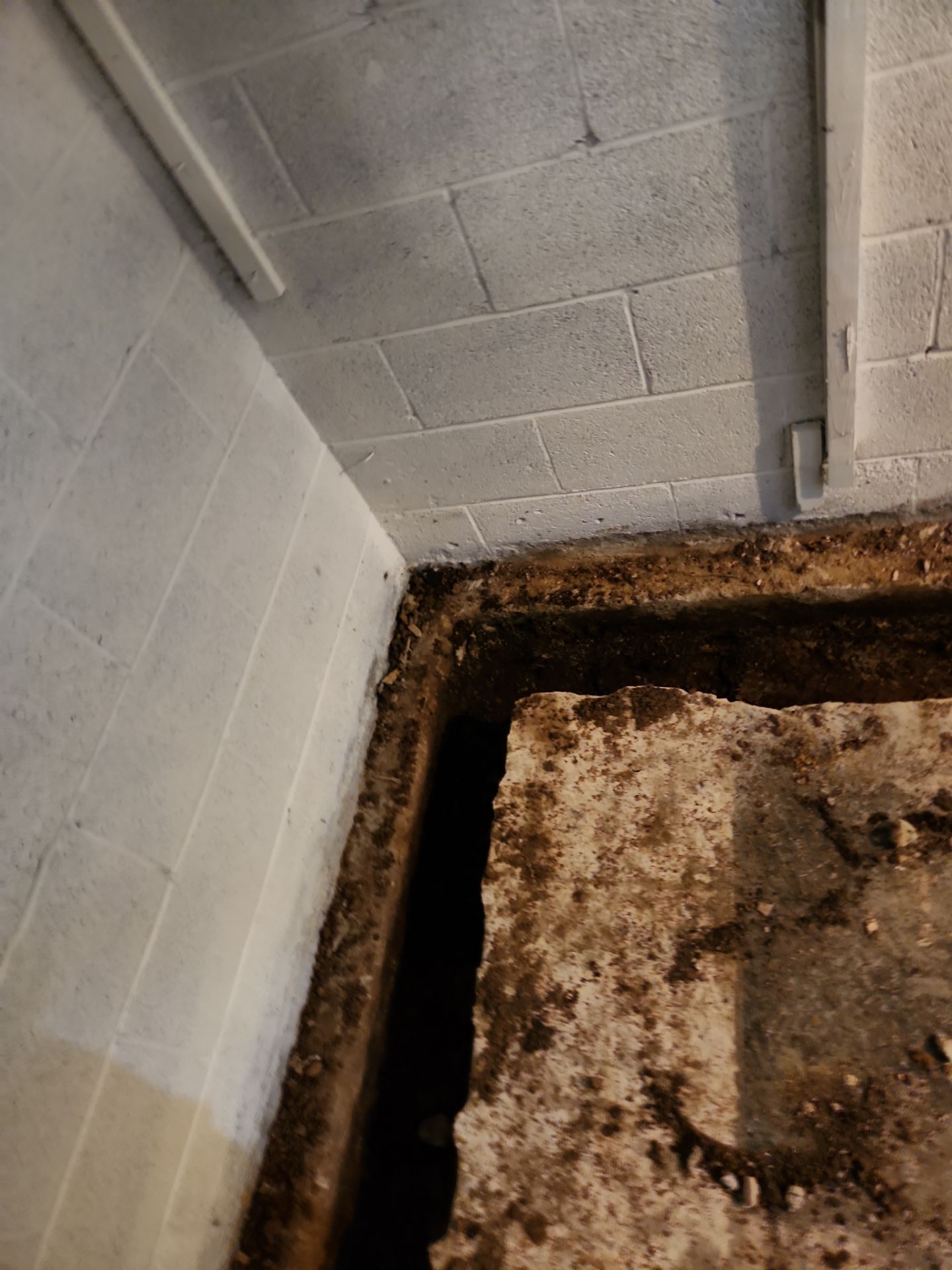 Interior French Drain & Mold Remediation Project in Manville, New Jersey by Pure Service Pro, LLC 