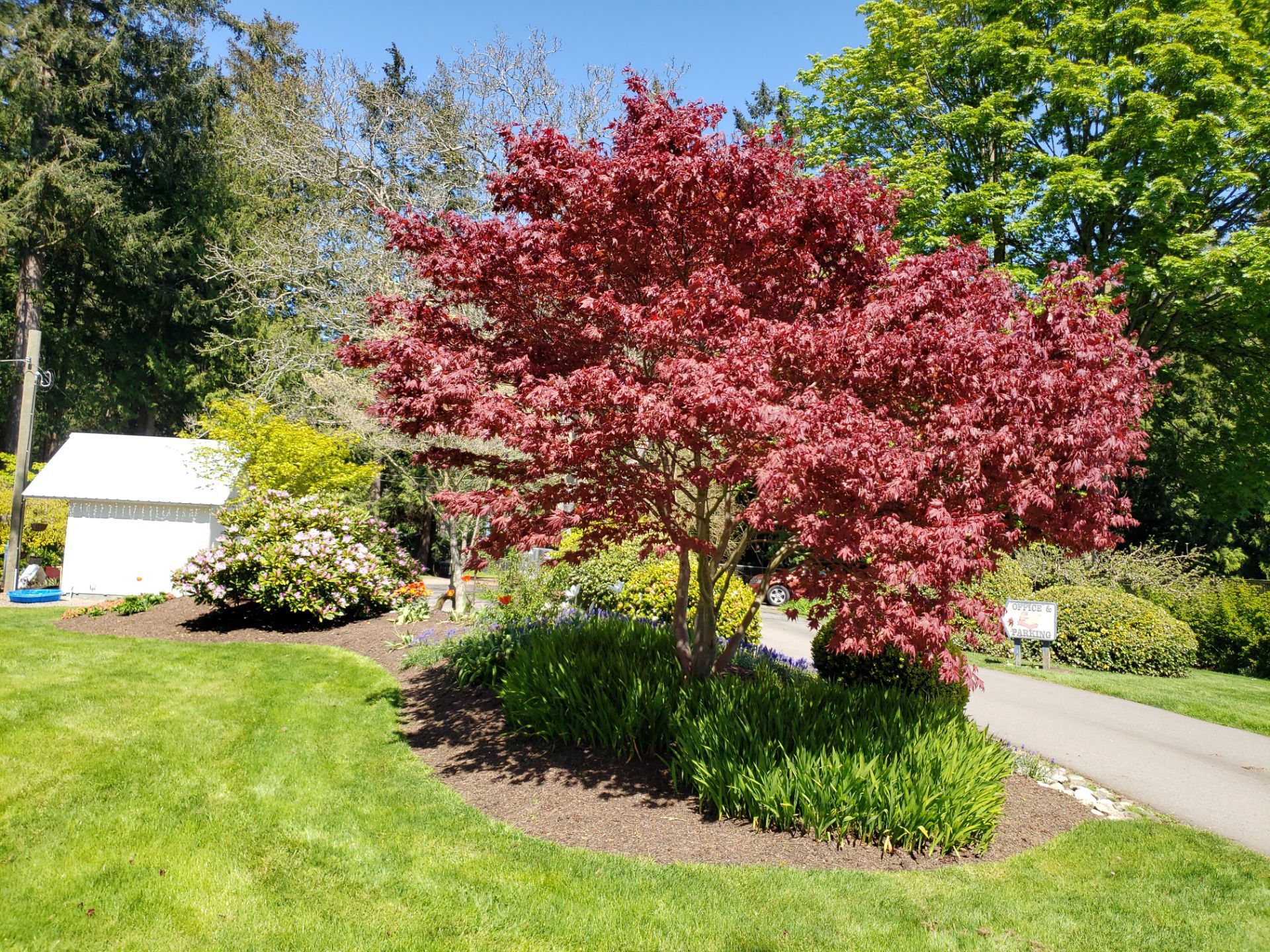 Puppy Love Farm by Habanero Garden and Exterior Care