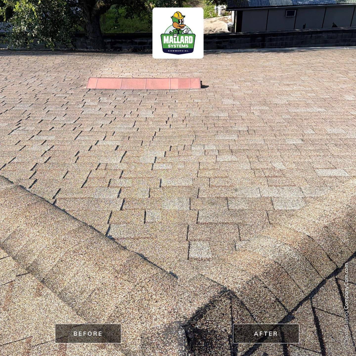 Shingle Roof Cleaning at Kissimmee Commercial Center by Mallard Systems