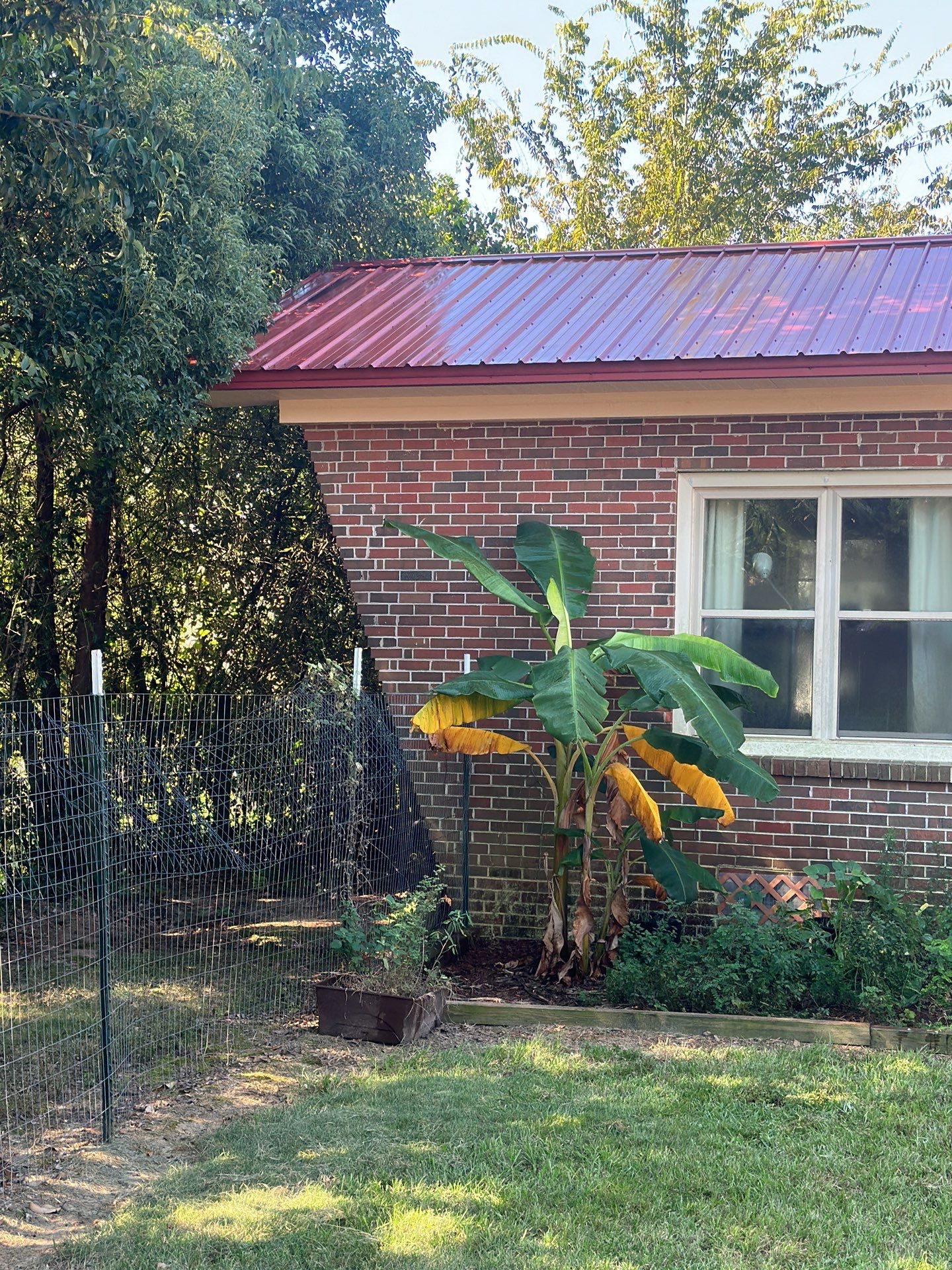 Bedroom Addition and Roof washing by JB's Contracting and Maintenance LLC